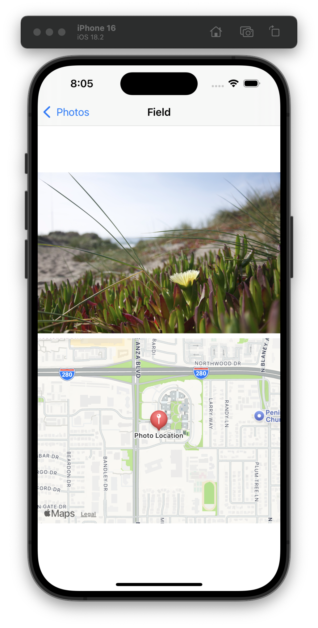 The iOS Simulator displays a detail view with a photo of a field with green plants, one yellow flower, and a sandy background, paired with a map showing the location saved with a red pin near Anza Boulevard and the Interstate 280.