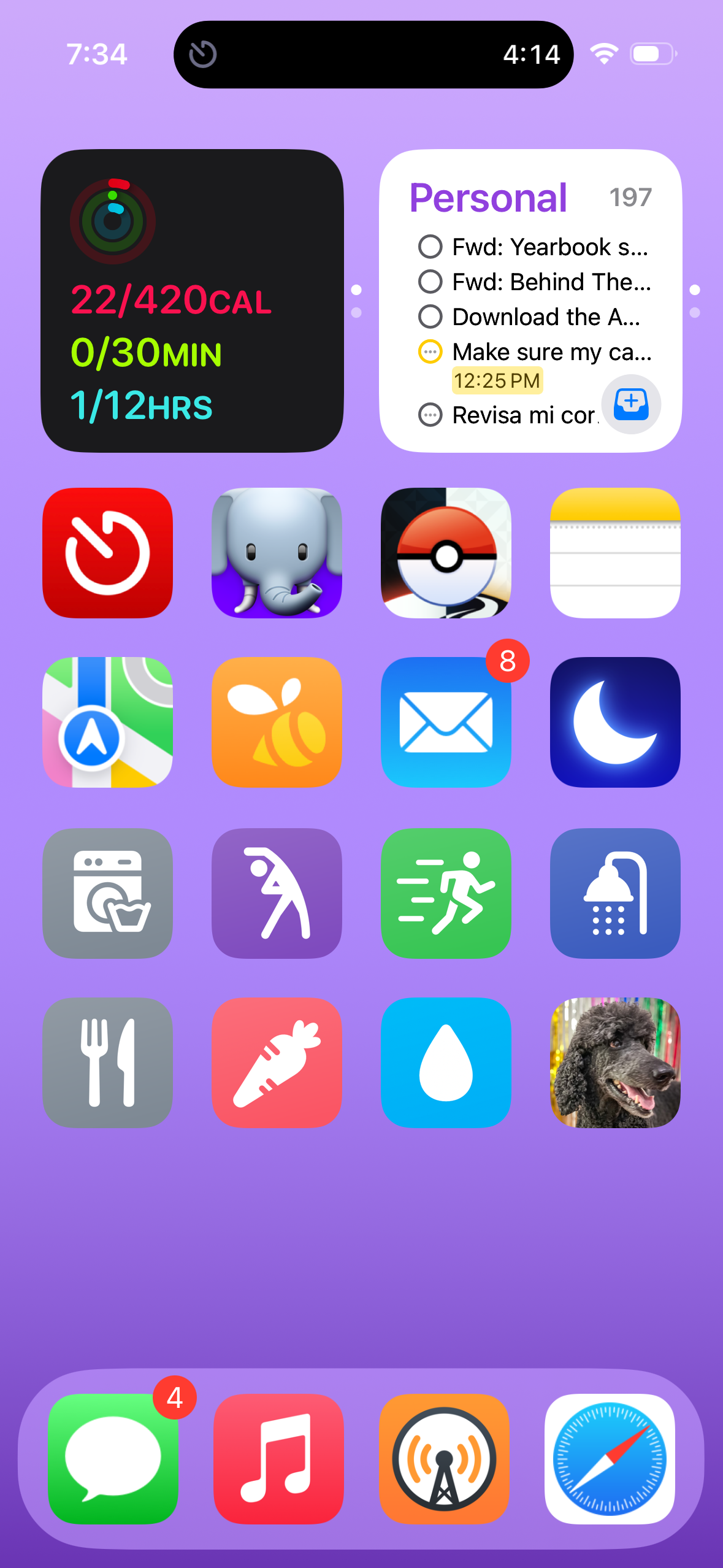 An iOS home screen (in Large icon mode without labels under the icons) showing a blurred purple background. The first row has a Fitness widget and a Personal widget. The second row has Timery, Ivory, Pokémon GO, and Notes. The third row has Maps, Swarm, Mail, and Sleep++. The fourth row has Start Laundry, Start Stretching, Start Exercise, and Start Shower. The fifth row has Start Dishes, Start Food, Drink Water, and Start Jackson. The dock at the bottom has Messages, Music, Overcast, and Safari.