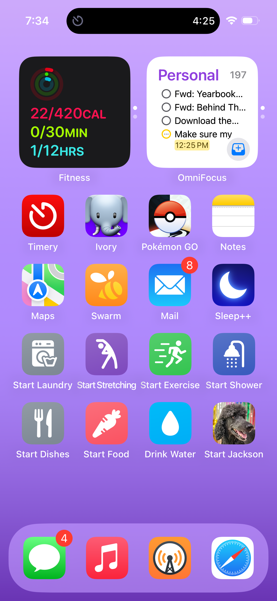 An iOS home screen (in Small icon mode with labels under the icons) showing a blurred purple background. The first row has a Fitness widget and a Personal widget. The second row has Timery, Ivory, Pokémon GO, and Notes. The third row has Maps, Swarm, Mail, and Sleep++. The fourth row has Start Laundry, Start Stretching, Start Exercise, and Start Shower. The fifth row has Start Dishes, Start Food, Drink Water, and Start Jackson. The dock at the bottom has Messages, Music, Overcast, and Safari.