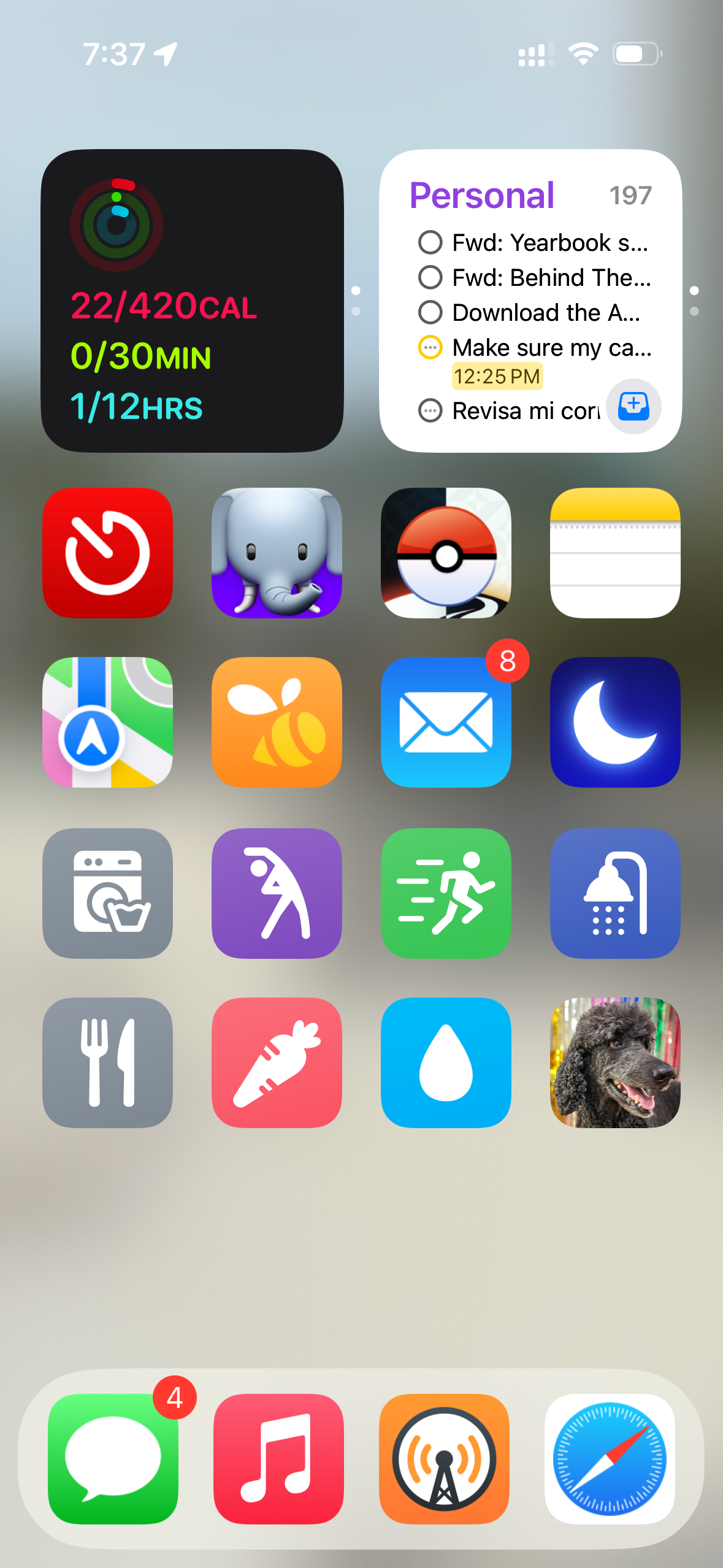 An iOS home screen (in Large icon mode without labels under the icons) showing a blurred outdoor background. The first row has a Fitness widget and a Personal widget. The second row has Timery, Ivory, Pokémon GO, and Notes. The third row has Maps, Swarm, Mail, and Sleep++. The fourth row has Start Laundry, Start Stretching, Start Exercise, and Start Shower. The fifth row has Start Dishes, Start Food, Drink Water, and Start Jackson. The dock at the bottom has Messages, Music, Overcast, and Safari.