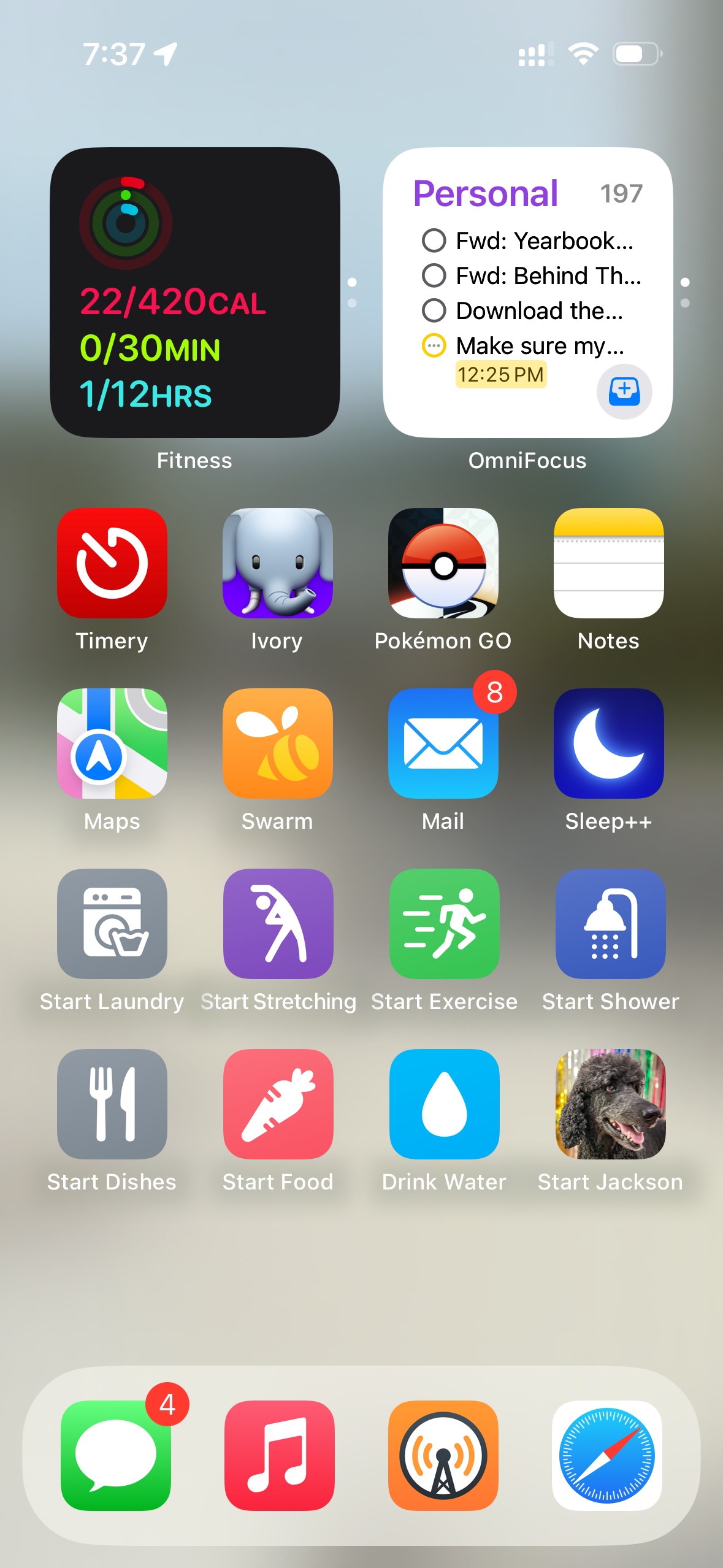 An iOS home screen (in Small icon mode with labels under the icons) showing a blurred outdoor background. The first row has a Fitness widget and a Personal widget. The second row has Timery, Ivory, Pokémon GO, and Notes. The third row has Maps, Swarm, Mail, and Sleep++. The fourth row has Start Laundry, Start Stretching, Start Exercise, and Start Shower. The fifth row has Start Dishes, Start Food, Drink Water, and Start Jackson. The dock at the bottom has Messages, Music, Overcast, and Safari.