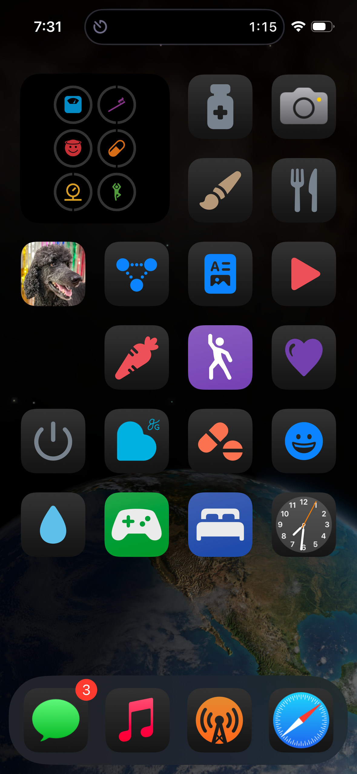 An iOS home screen (in Large icon mode without labels under the icons) showing a blurred view of Earth from space. The first row has a Streaks widget, Start Medical, Camera, and Start Dishes. The second row has Start Jackson, Start Mastodon, Open RSS, and Open YouTube. The third row has Start Food, Start Stretching, Self Care, and Start Shutdown. The fourth row has Balance Health, Take Vitamins, Brush Teeth, and Drink Water. The fifth row has Play Wordle, Bedtime, and Clock. The dock at the bottom has Messages, Music, Overcast, and Safari.