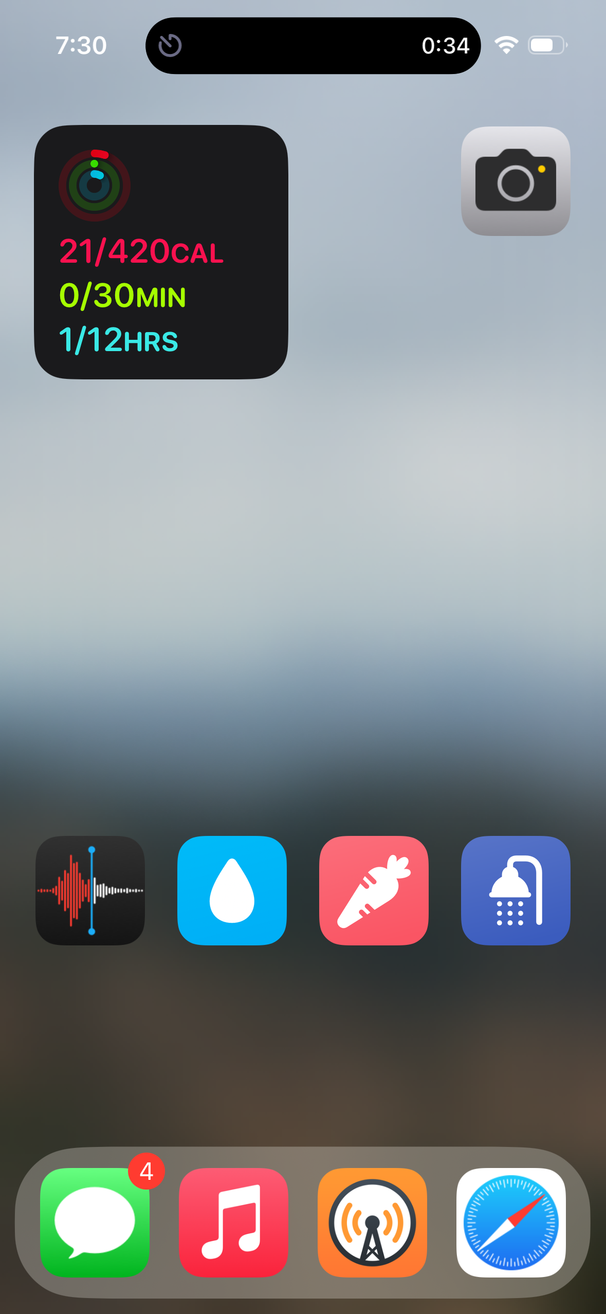 An iOS home screen (in Large icon mode without labels under the icons) showing a blurred outdoor background. The first row has a Fitness widget and Camera. The second row has Voice Memos, Drink Water, Start Food, and Start Shower. The dock at the bottom has Messages, Music, Overcast, and Safari.