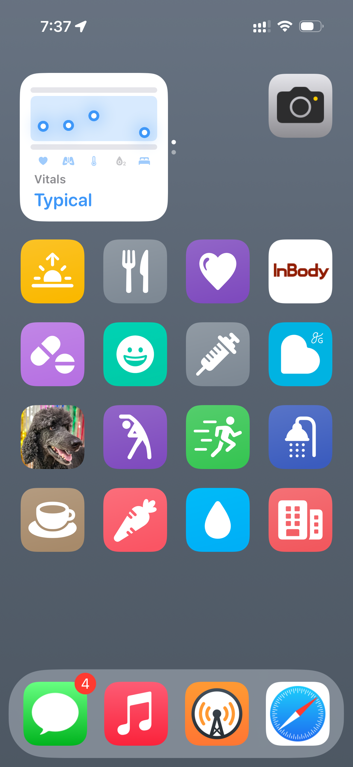 An iOS home screen (in Large icon mode without labels under the icons) showing a blurred gray background, indicating an overcast day. The first row has a Health widget and Camera. The second row has Start Morning, Start Dishes, Self Care, and InBody. The third row has Take Vitamins, Brush Teeth, Face Routine, and Balance Health. The fourth row has Start Jackson, Start Stretching, Start Exercise, and Start Shower. The fifth row has Start Coffee, Start Food, Drink Water, and Start Work. The dock at the bottom has Messages, Music, Overcast, and Safari.