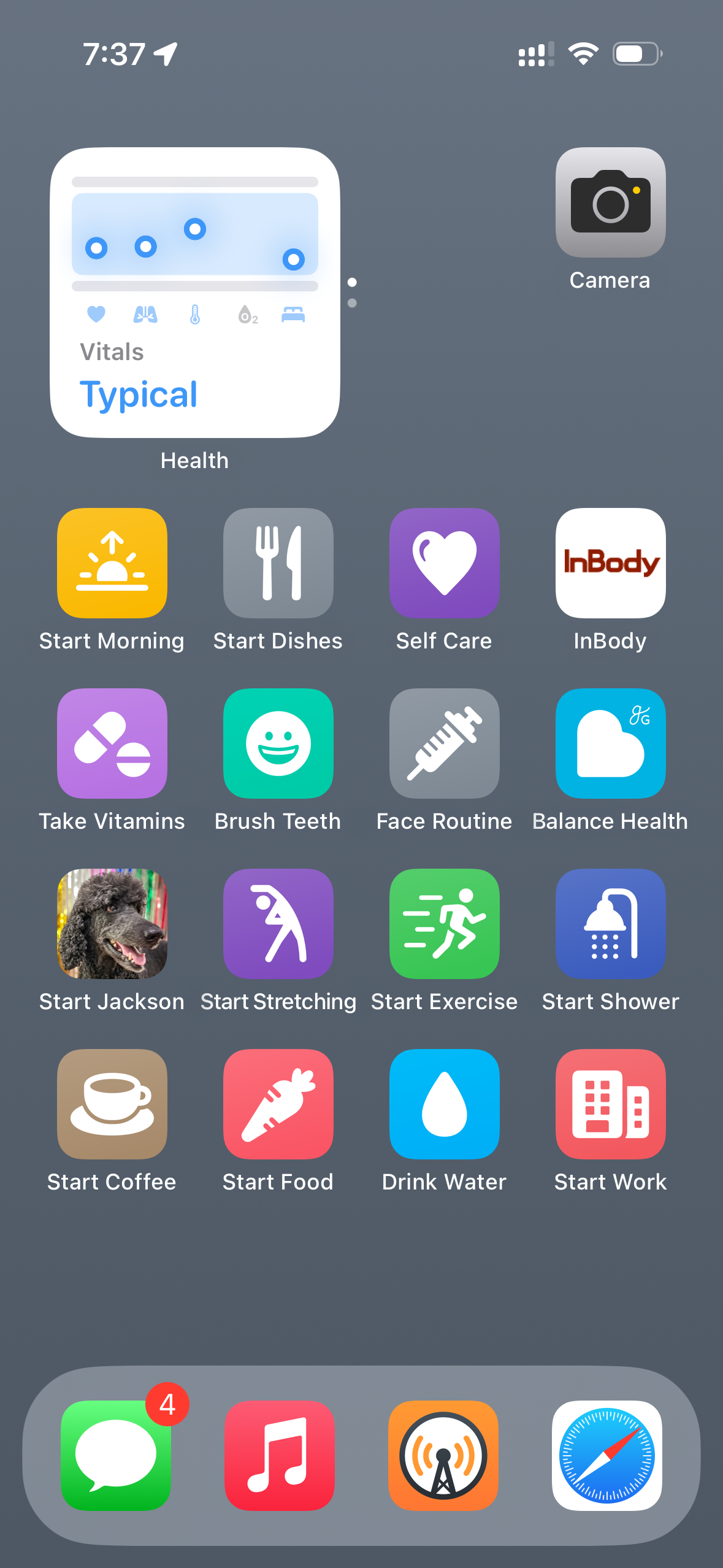 An iOS home screen (in Small icon mode with labels under the icons) showing a blurred gray background, indicating an overcast day. The first row has a Health widget and Camera. The second row has Start Morning, Start Dishes, Self Care, and InBody. The third row has Take Vitamins, Brush Teeth, Face Routine, and Balance Health. The fourth row has Start Jackson, Start Stretching, Start Exercise, and Start Shower. The fifth row has Start Coffee, Start Food, Drink Water, and Start Work. The dock at the bottom has Messages, Music, Overcast, and Safari.