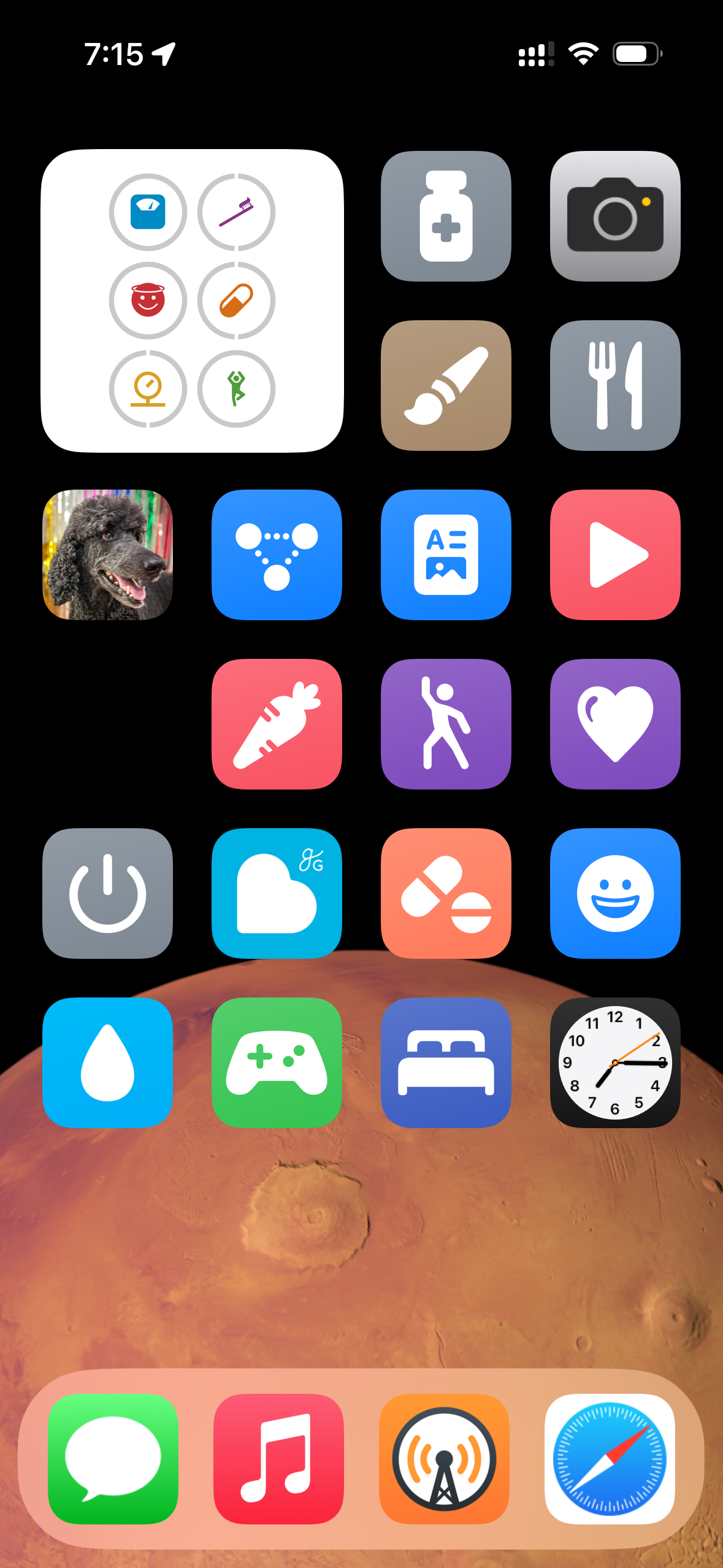 An iOS home screen (in Large icon mode without labels under the icons) showing a blurred Mars-like space background. The first row has a Streaks widget, Start Medical, Camera, and Start Dishes. The second row has Start Jackson, Start Mastodon, Open RSS, and Open YouTube. The third row has Start Food, Start Stretching, Self Care, and Start Shutdown. The fourth row has Balance Health, Take Vitamins, Brush Teeth, and Drink Water. The fifth row has Play Wordle, Bedtime, Clock, and the dock at the bottom with Messages, Music, Overcast, and Safari.