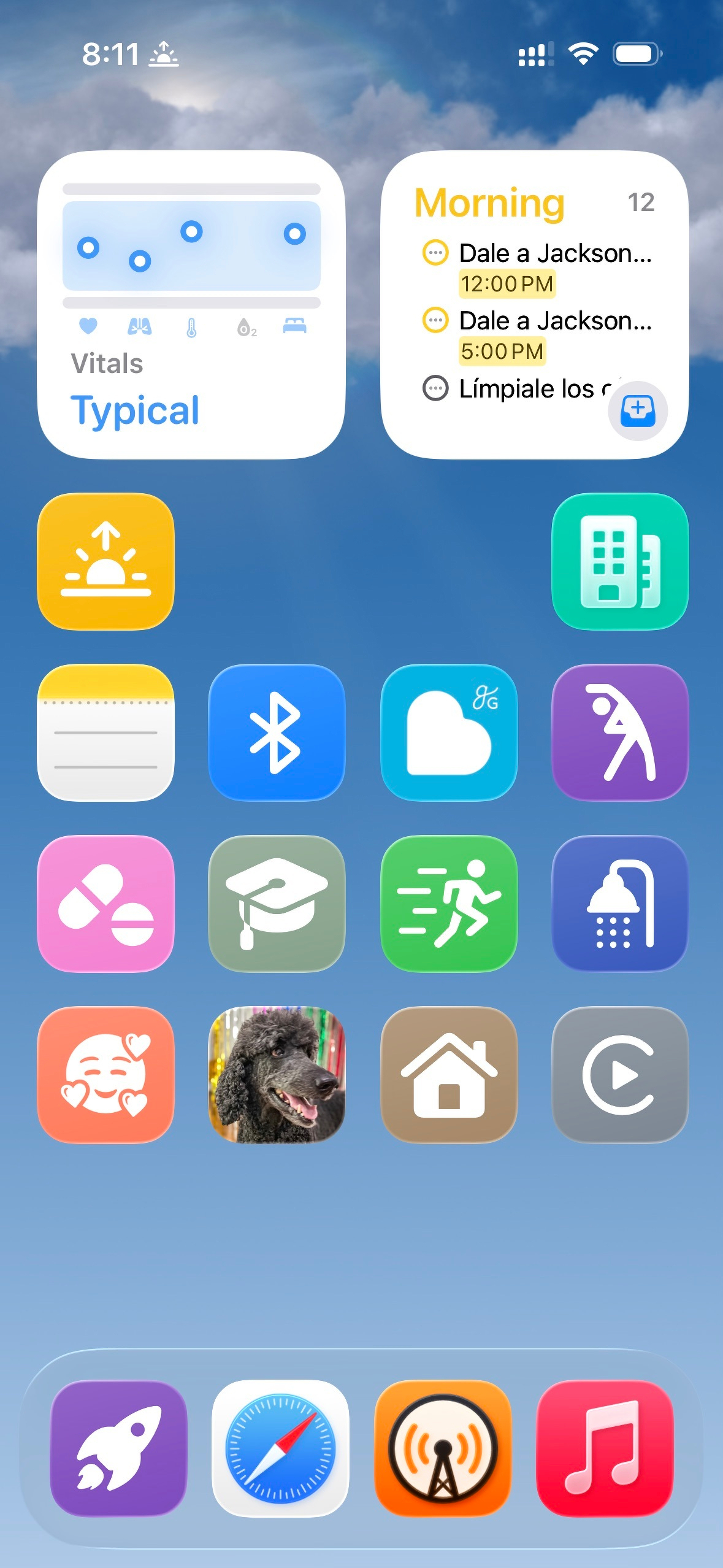 An iOS home screen in Large icon mode without labels under the icons, showing the same thing as the Small icon mode screenshot before this.