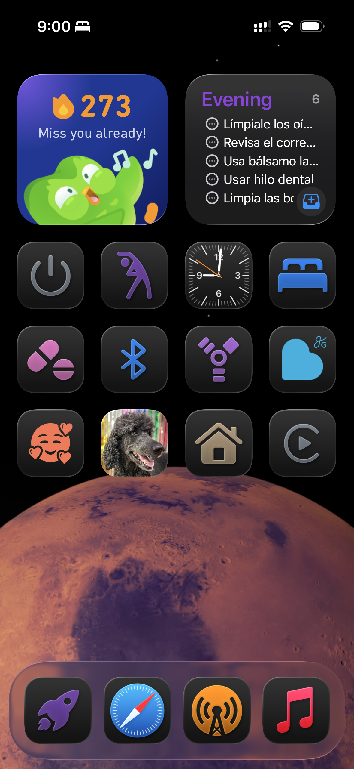 An iOS home screen in Large icon mode without labels under the icons, showing the same thing as the Small icon mode screenshot before this.