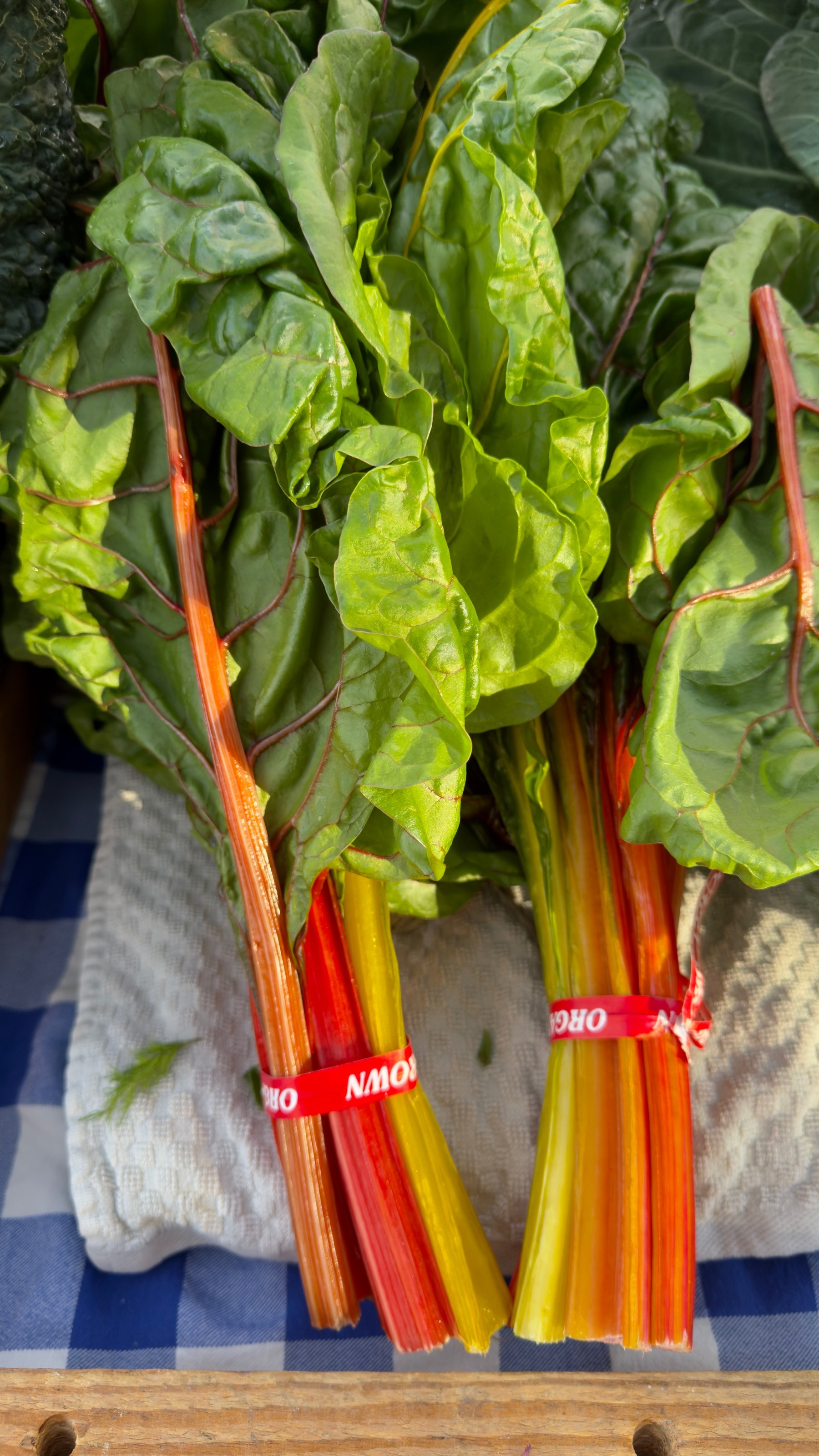 Bundled chard at a market stall