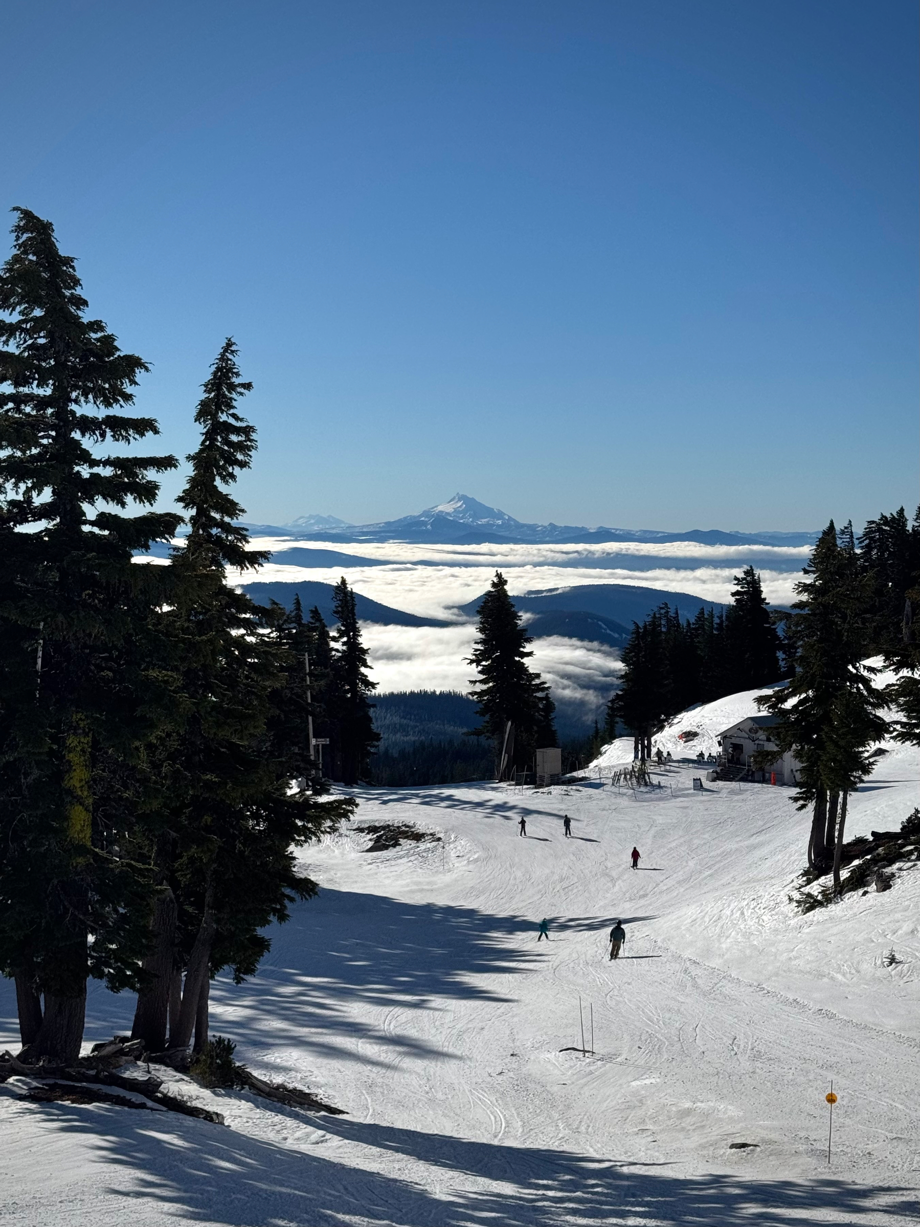 A snowy ski run slopes gently downhill between tall evergreen trees on both sides. Several small skiers are spaced across the slope, moving downhill, their long shadows stretching across the textured snow. Beyond the run, dark forested ridges step away into the distance, partially submerged in a thick blanket of white clouds that fills the valleys like a calm ocean. Rising above the cloud layer in the center of the horizon is a single sharp, snow-covered mountain peak under a clear blue sky. The scene is bright, crisp, and expansive, with strong depth from foreground snow to distant mountain.