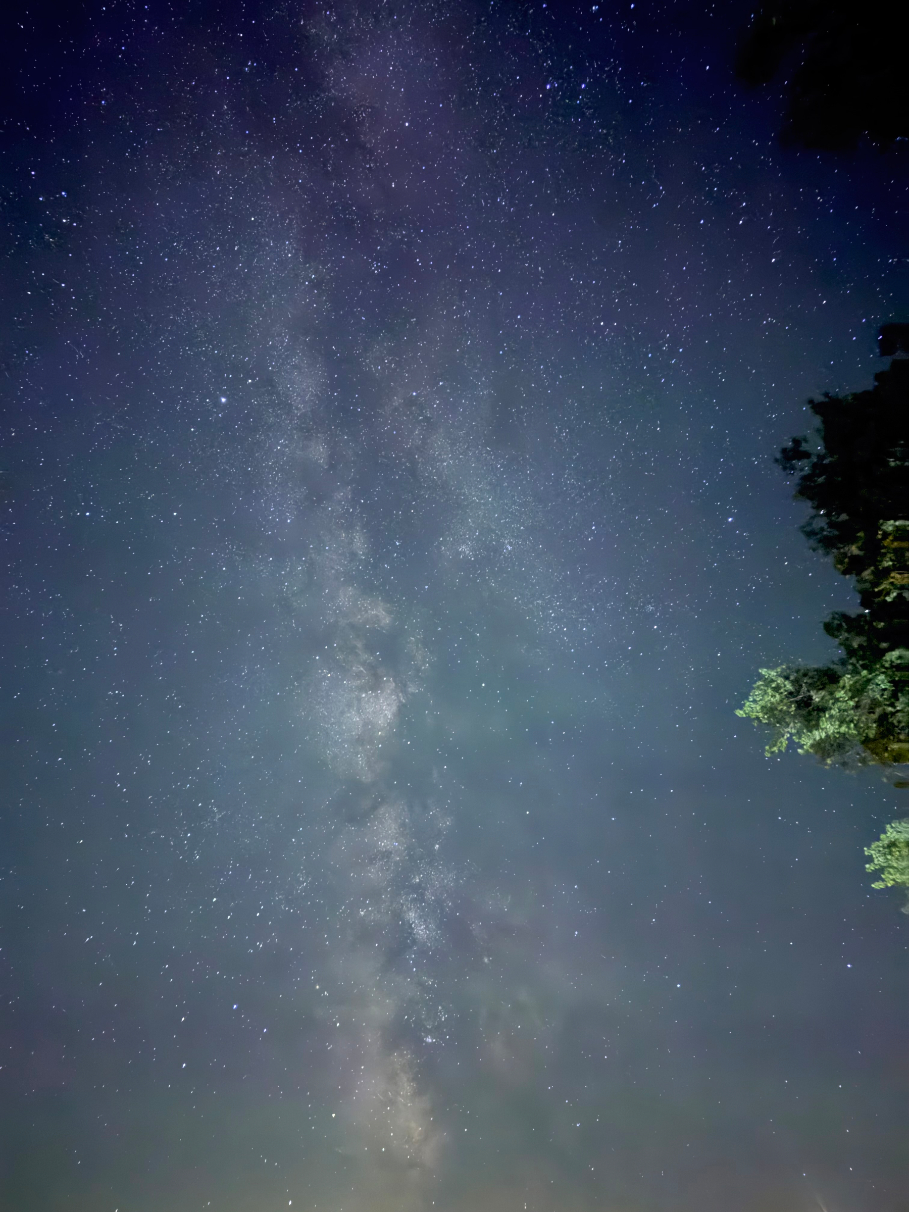 A vertical night-sky photograph filled with stars, with the hazy band of the Milky Way rising through the center. The sky shifts subtly from greenish-blue near the bottom to deeper blue and violet above, while dark tree branches reach in from the right edge.