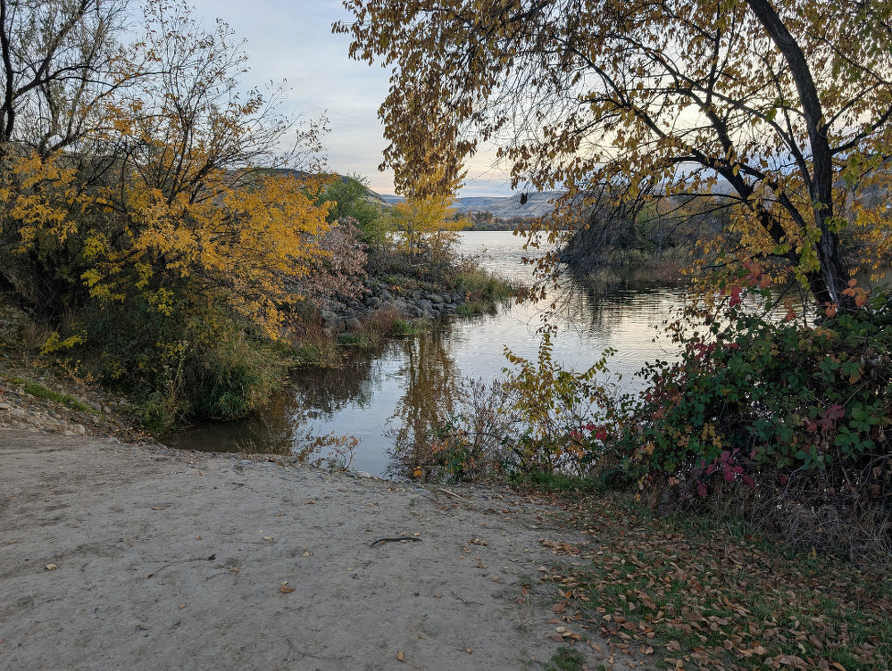 A peaceful riverside scene features autumnal trees with colorful foliage and a calm water reflection.