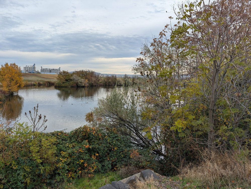 A serene lake is surrounded by autumn trees, with a building visible in the background.