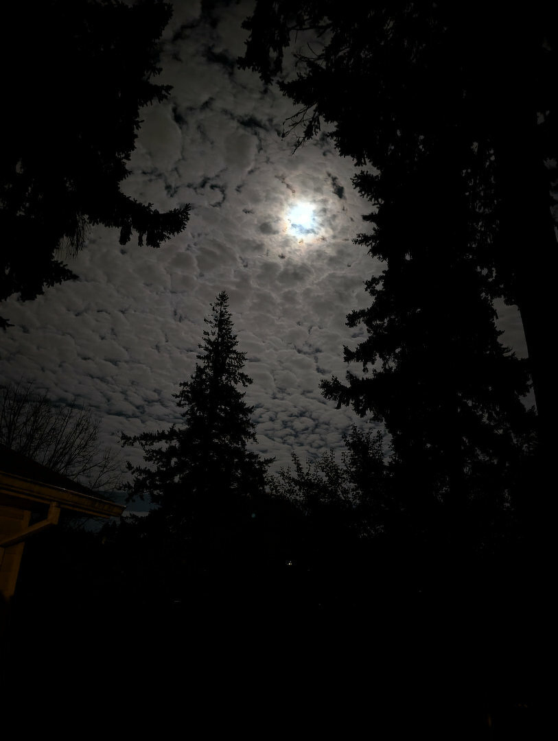 A moonlit night sky is partially obscured by scattered clouds and framed by silhouetted trees.