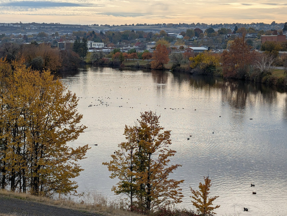 A river is surrounded by autumn trees with a backdrop of a town and cloudy sky.