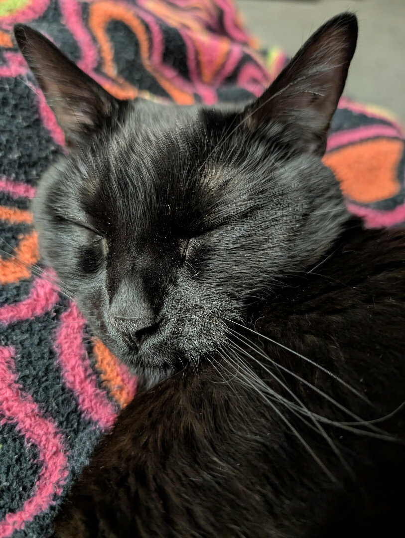 A black cat is peacefully sleeping on a colorful, patterned blanket.