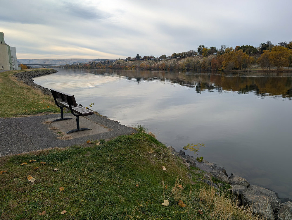 A peaceful riverside scene features a solitary bench on a path overlooking calm water, with autumn trees lining the opposite shore.