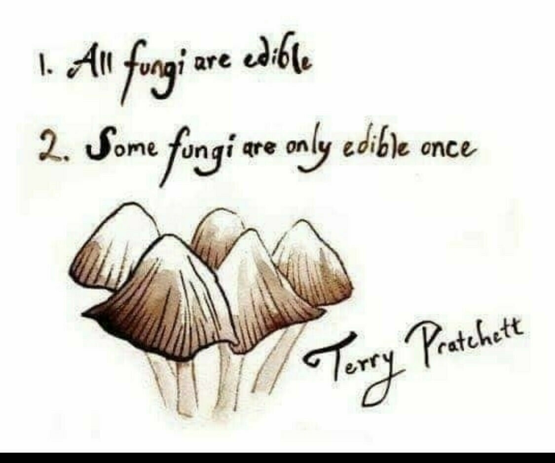 A drawing of small brown and white mushrooms with a quote from Terry Pratchett reading "all fungi are edible: some fungi are only edible once."