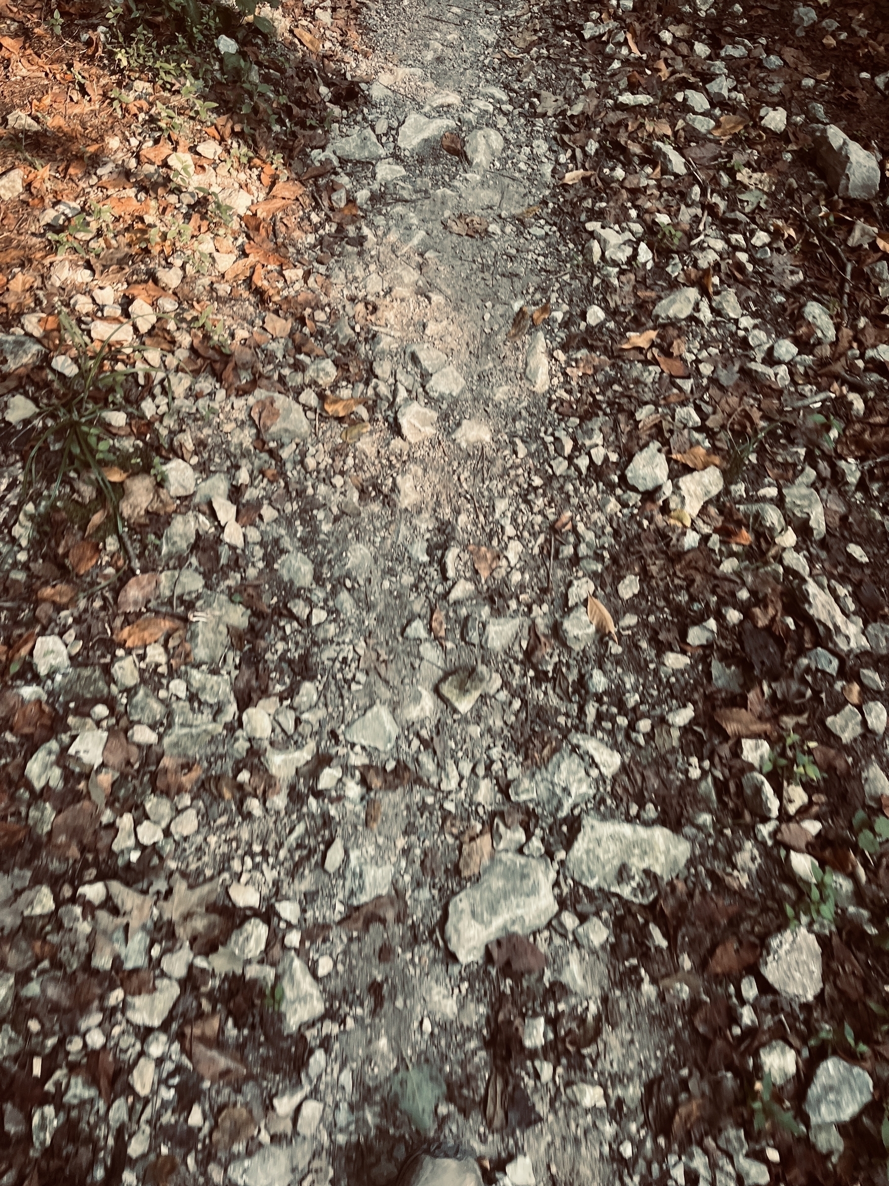 A dirt and gravel path