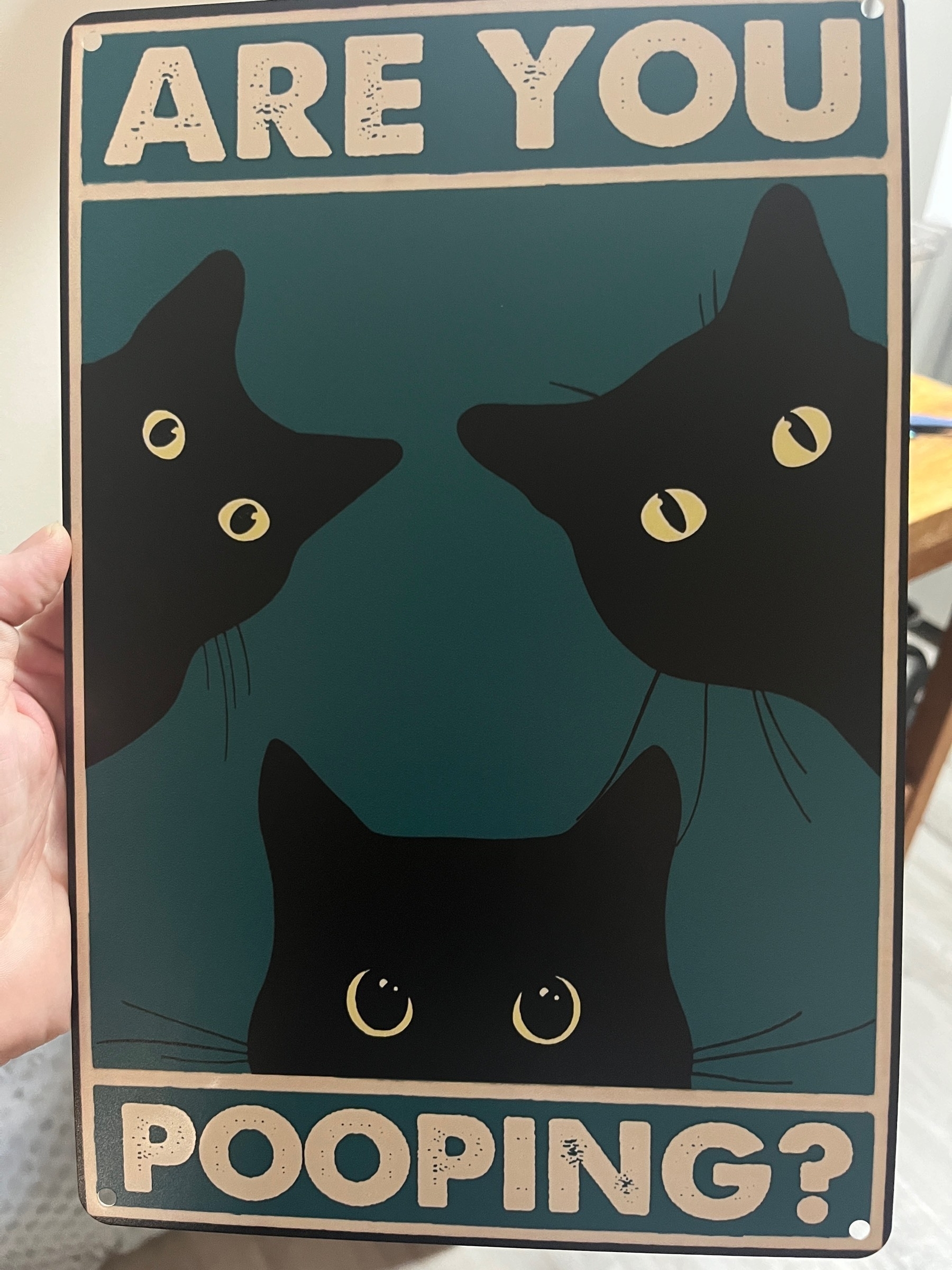 A metal sign with a teal background and three black cats peering out with the words ARE YOU POOPING?