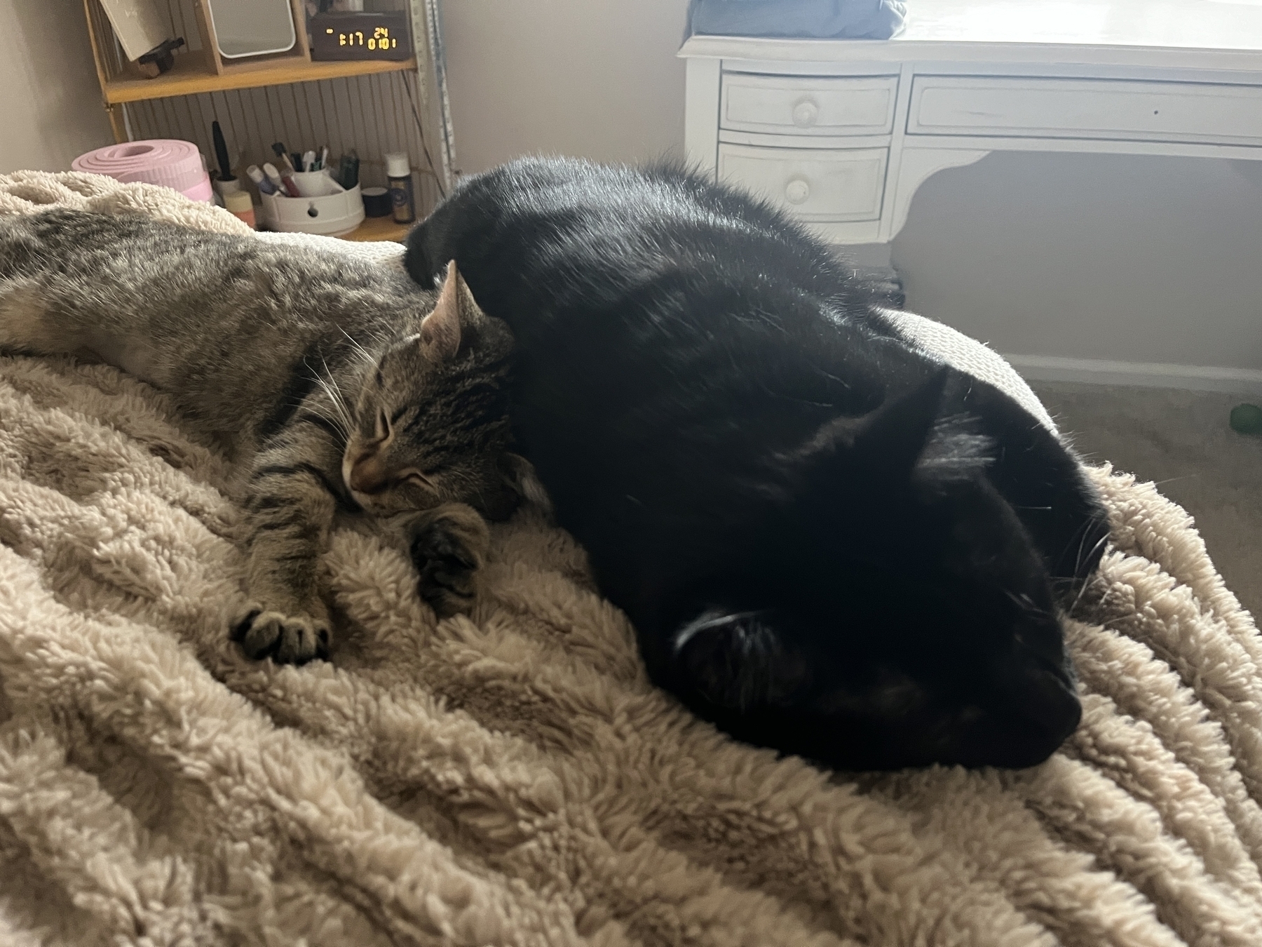 Two cats napping on a bed, one small gray tabby and one big black cat. 