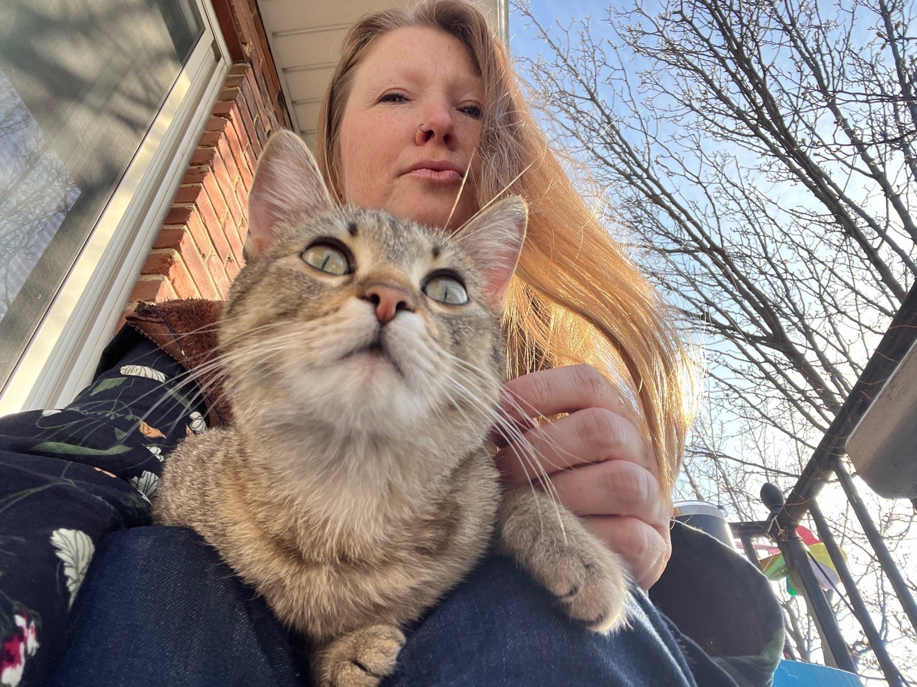 A closer view of a small gray tabby cat with wide eyes looking up from a woman's lap, with sky behind them 