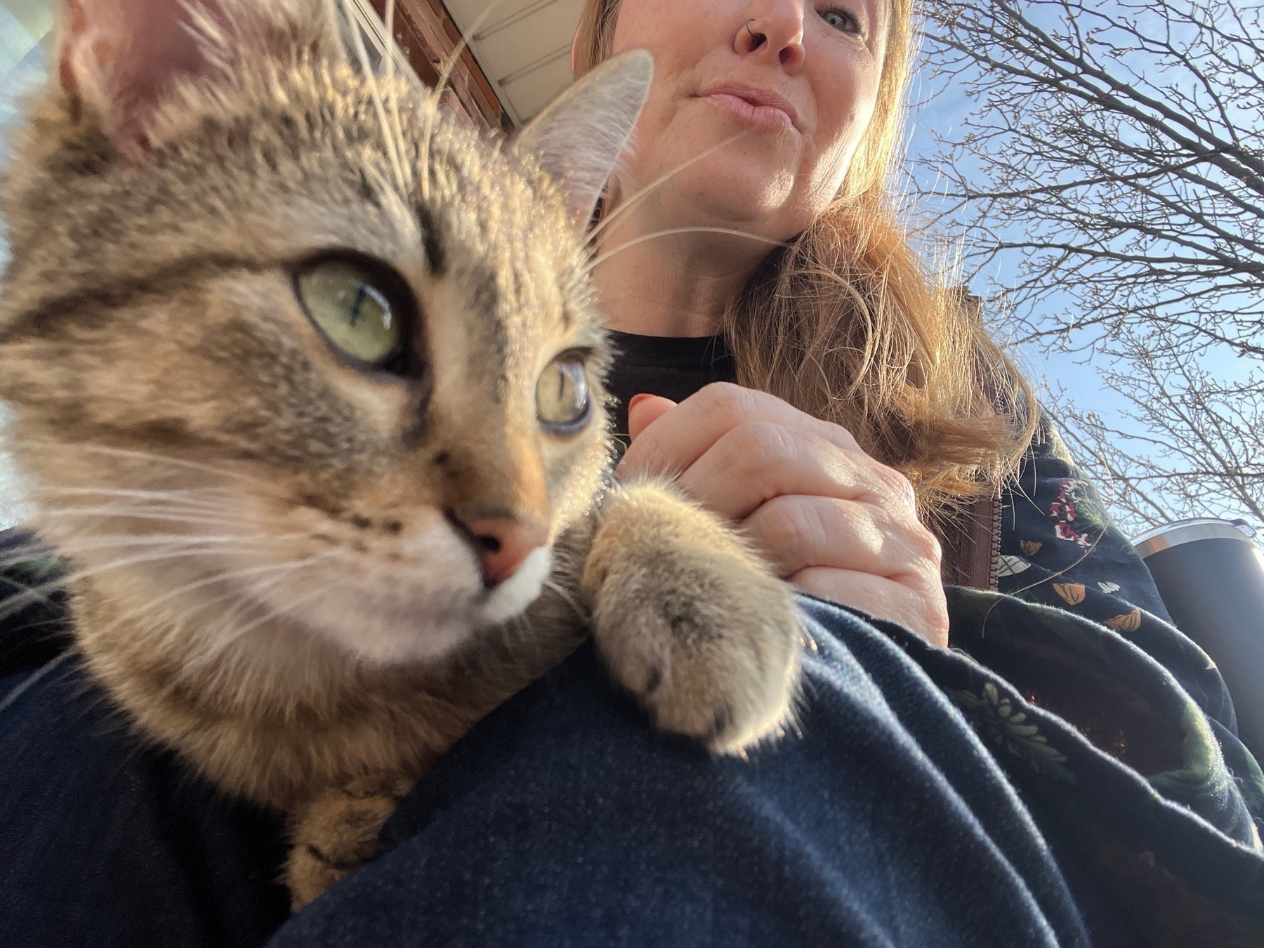 A very close view of a small gray tabby cat with wide eyes looking up from a woman's lap, with sky behind them 