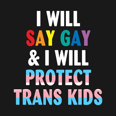 Protect Trans Kids. Say Gay!