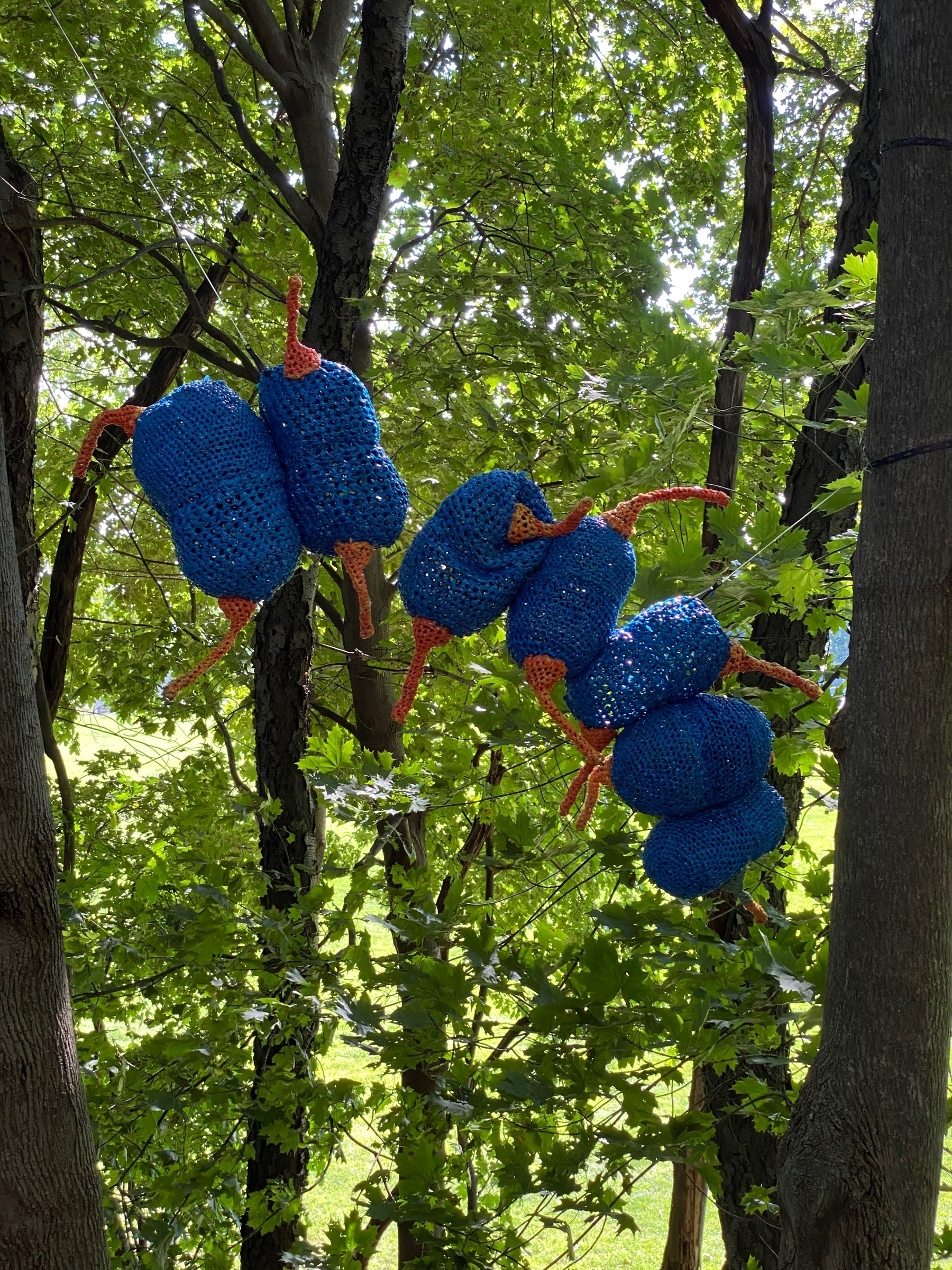 Fiber sculptures of microorganisms suspended between tree trunks with green leaves in the background.