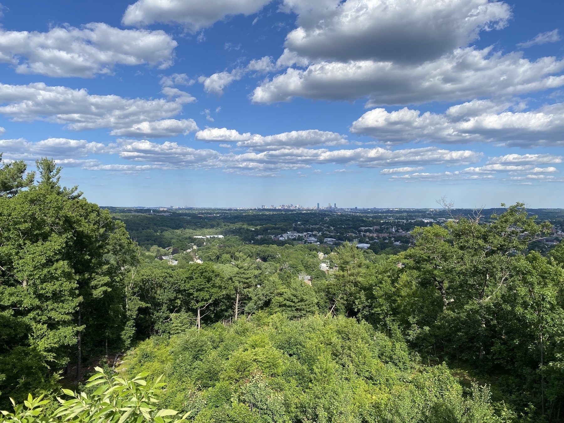 View from a hill overlooking tree lined suburbs, with the Boston skyline in the far distance.