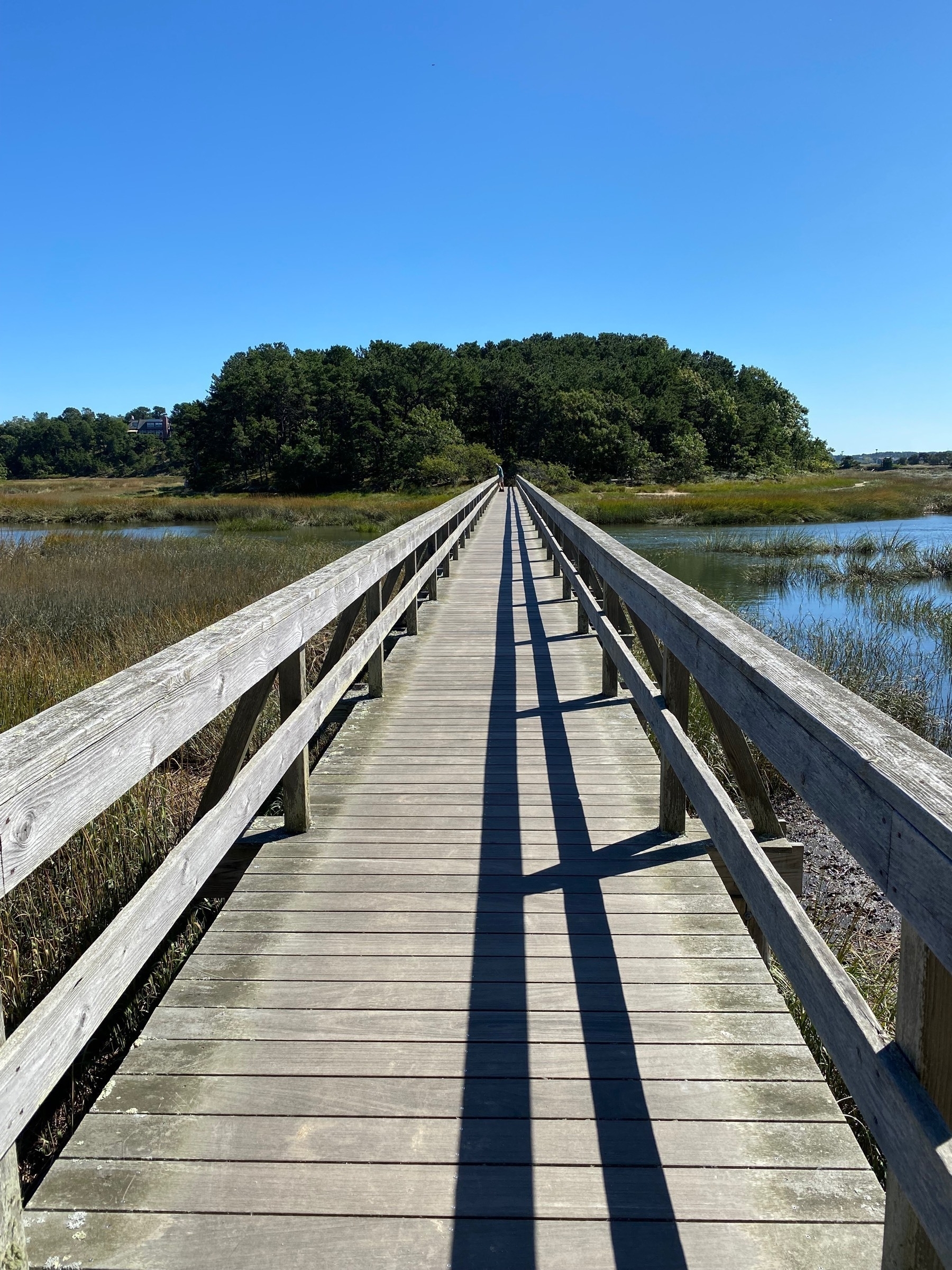 Afternoon view along a wooden bridge across a salt marsh creek, with a wooded islet at the far end.