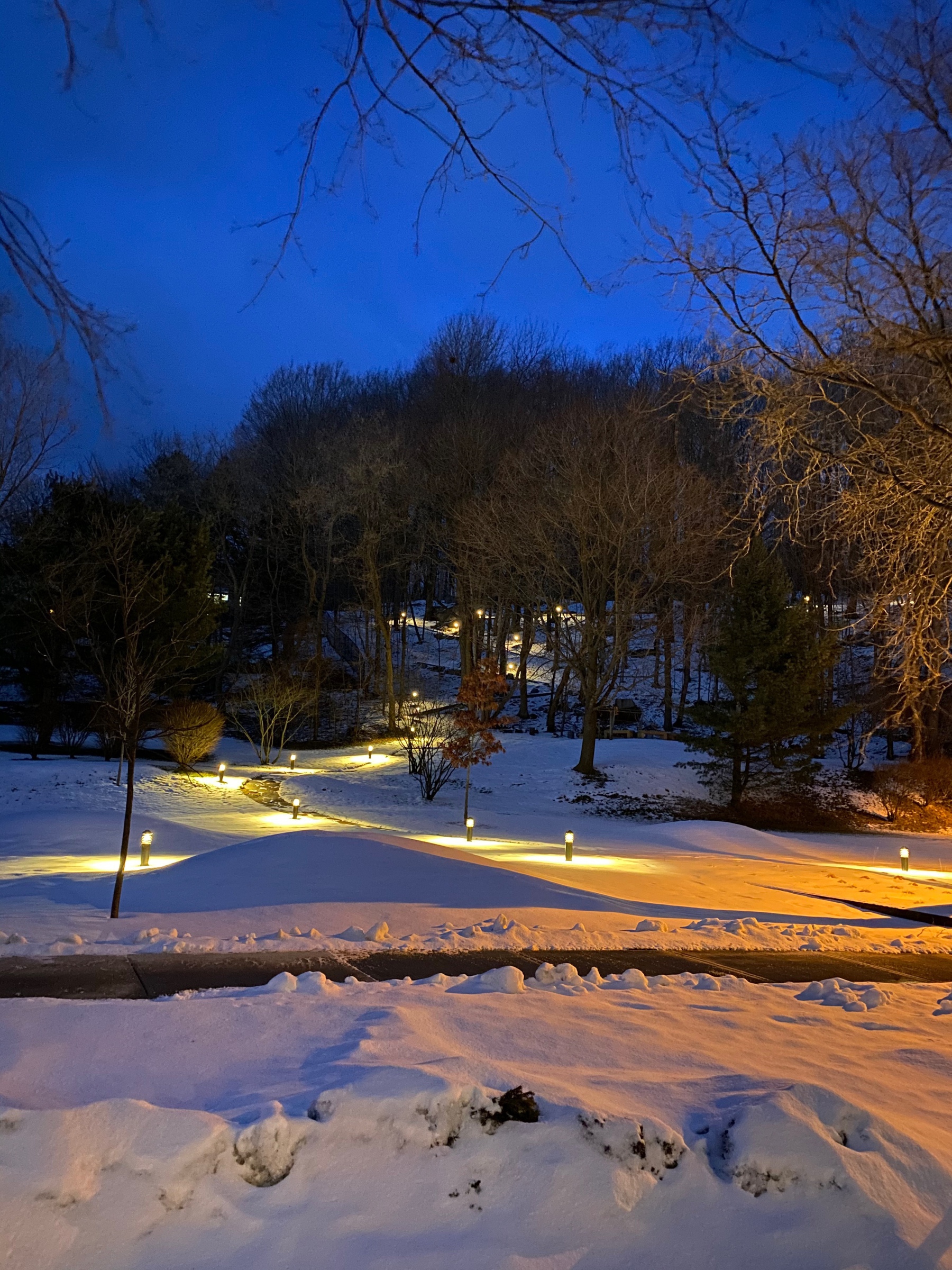 Twilight view of a hill covered in dark trees with lights illuminating the snow on the slope below.