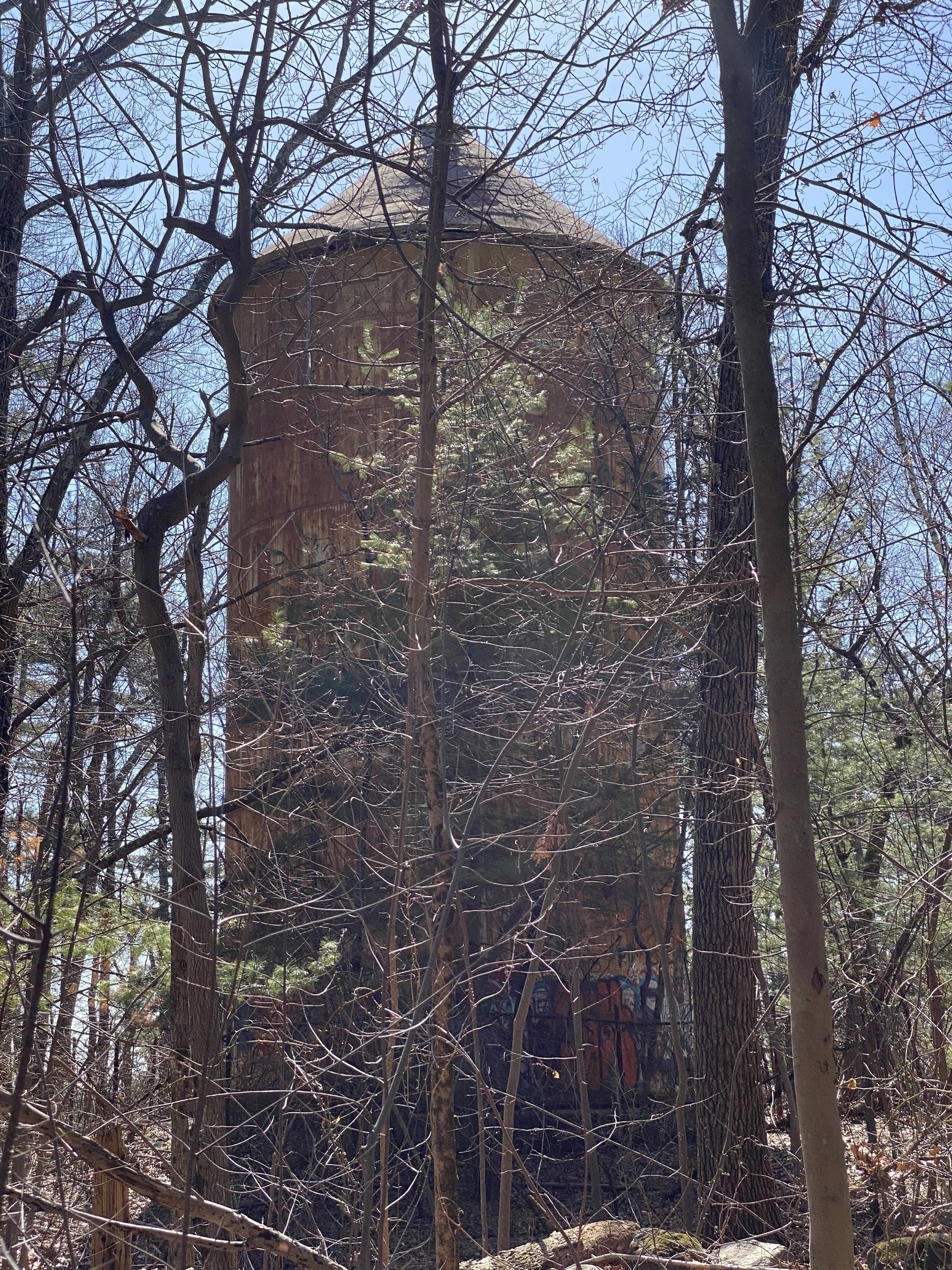 An old water tank surrounded by pine trees.