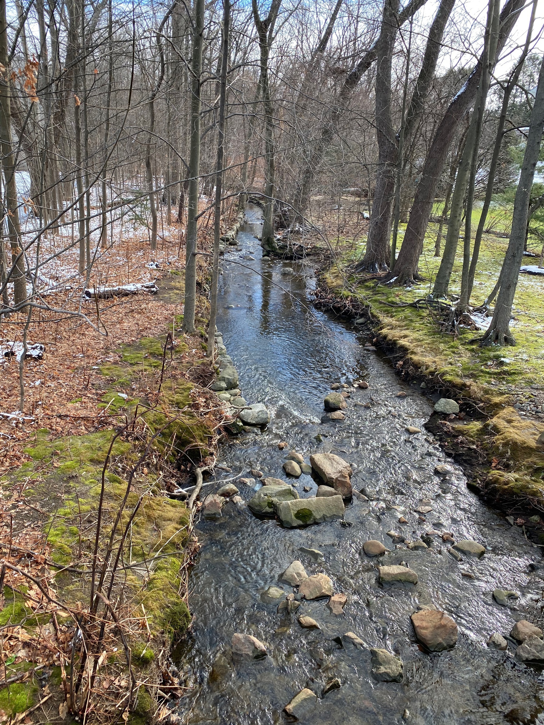 View of a stream with bare trees, grass, and a little snow on either bank.
