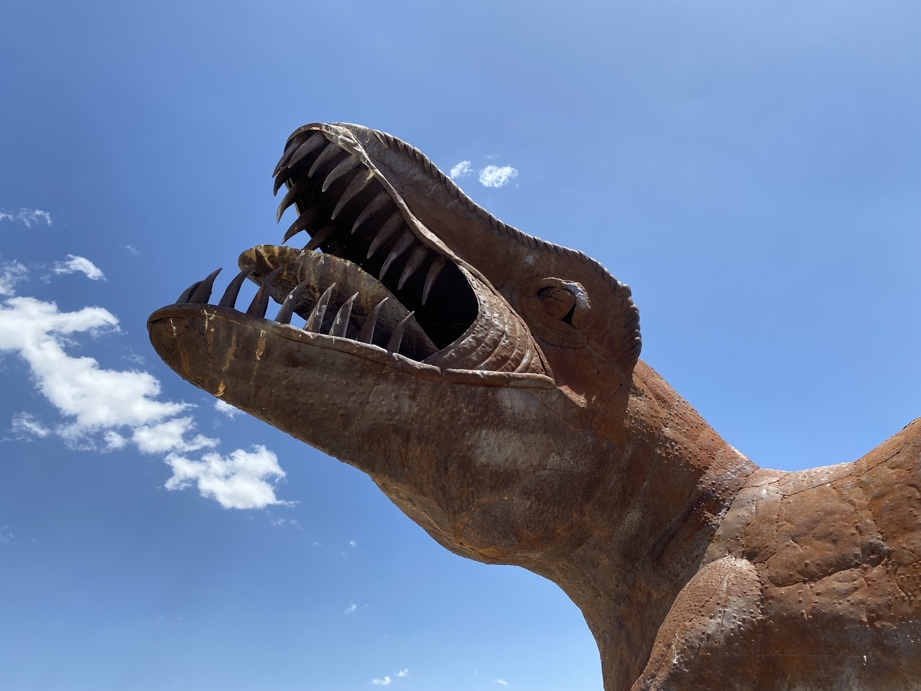 Head of a metal dinosaur sculpture with many long, sharp teeth against a blue sky.