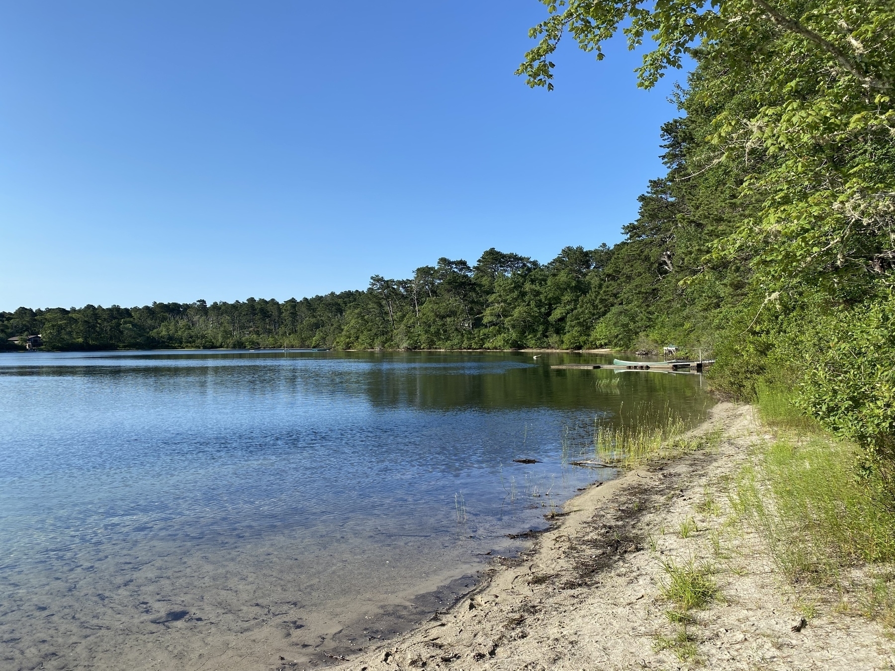 Afternoon view of a pond with a small beach in the foreground and trees lining the bank.