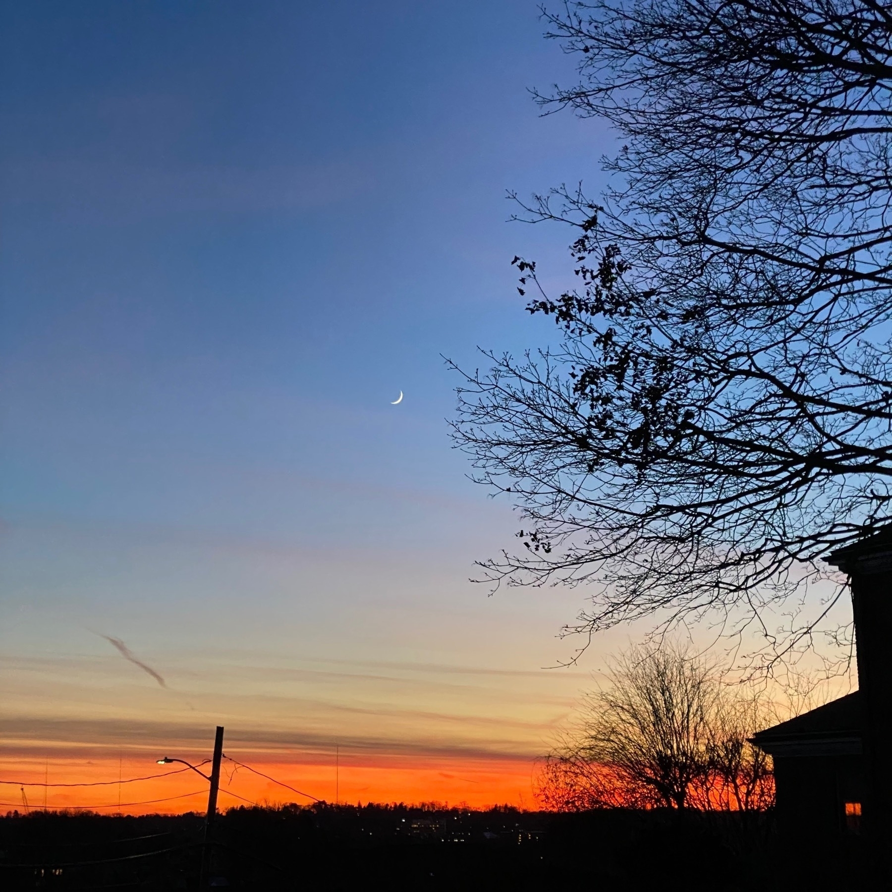 View of a sunset with brigh orange sky at the horizon, deep blue sky above, and the small cresent moon near the outline of tree branches on the right.