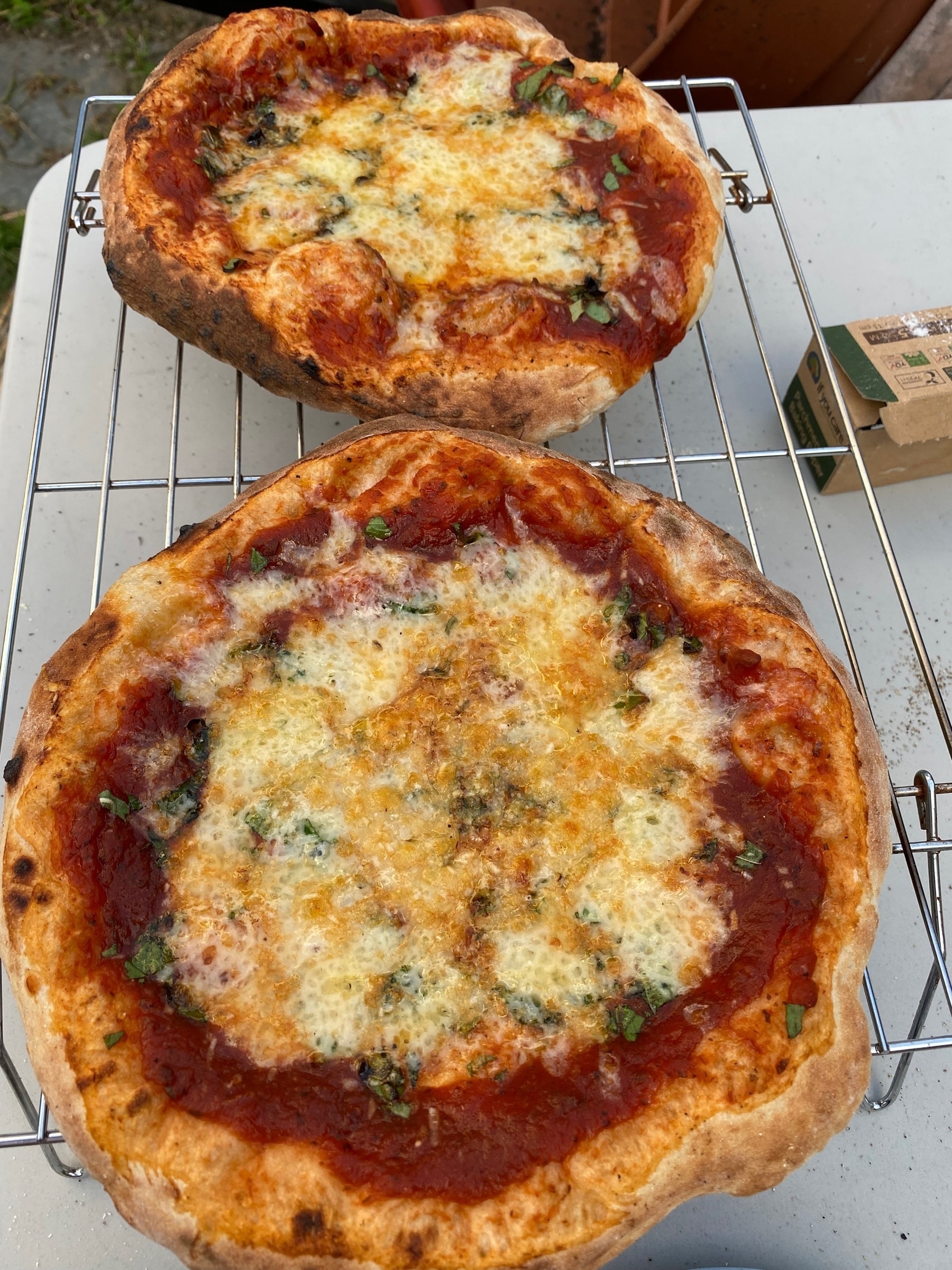 Two small pizzas on a cooling rack.