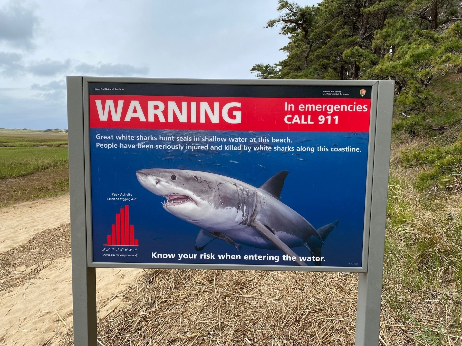 Shark warning sign near a salt marsh.
