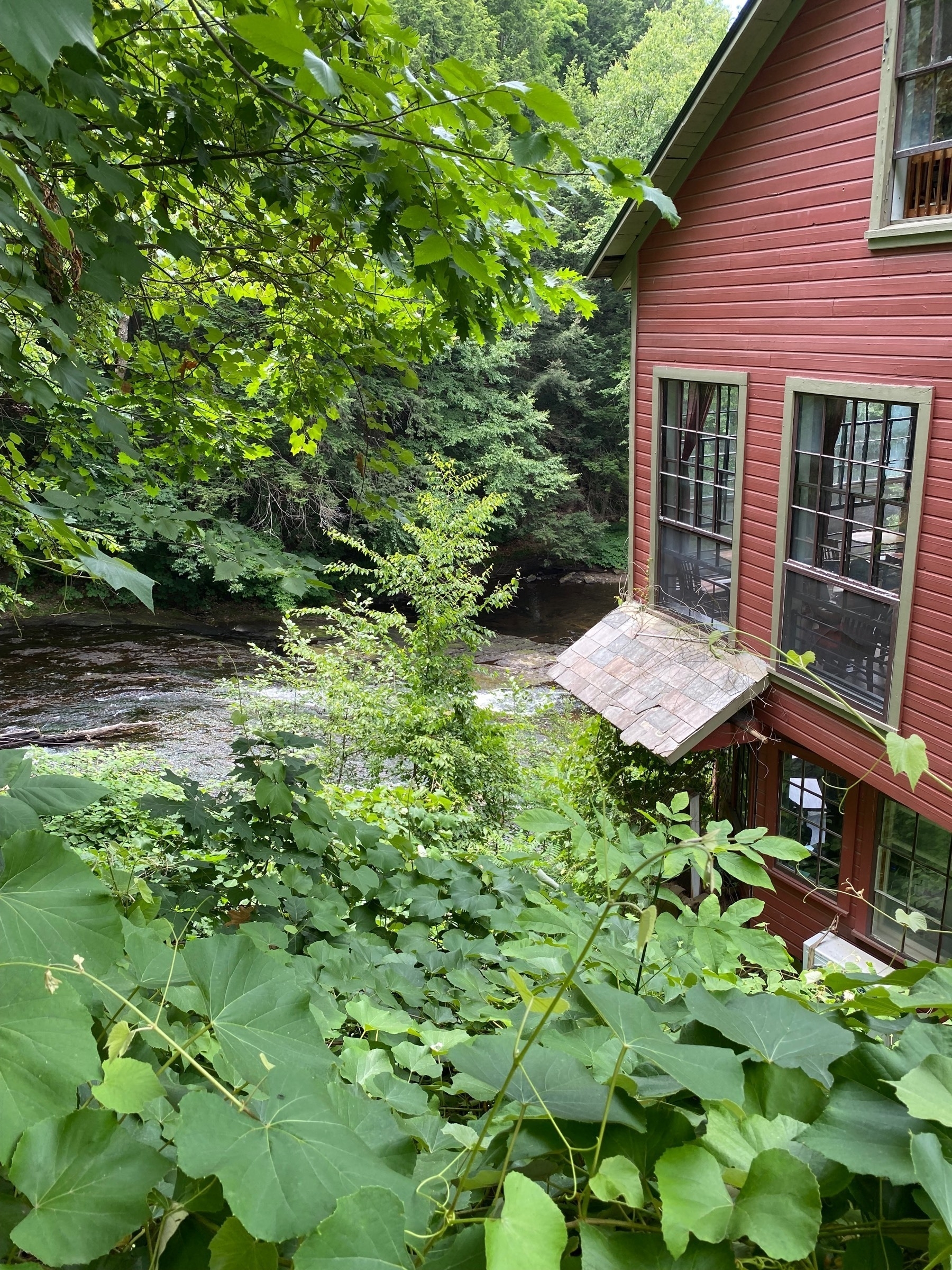 View of a stream surrounded by green leaves above and below, with the reddish wall of a wooden building on the right.