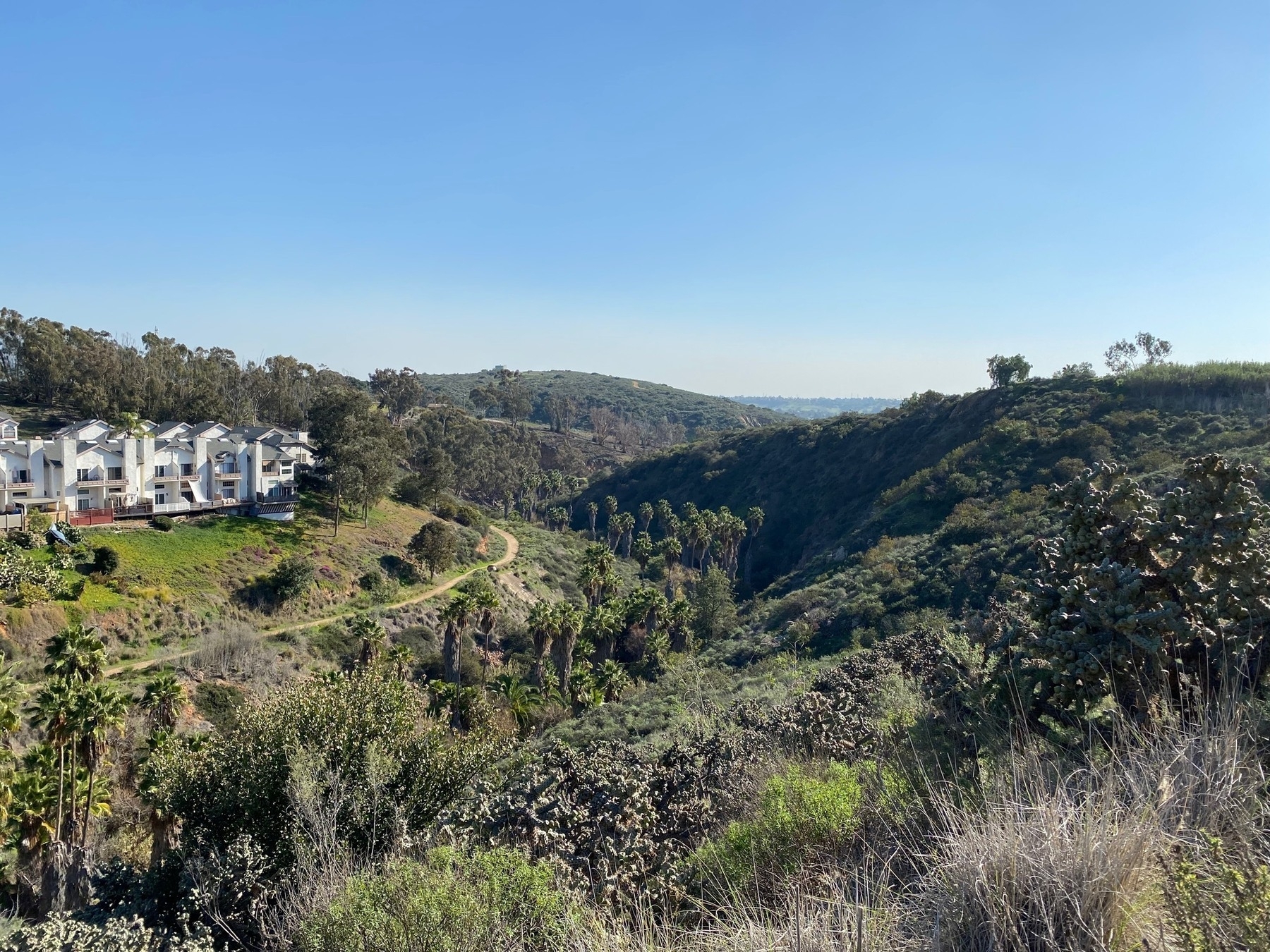 View of a canyon running between scrub covered hills, with a complex of white buildings on the left crest.