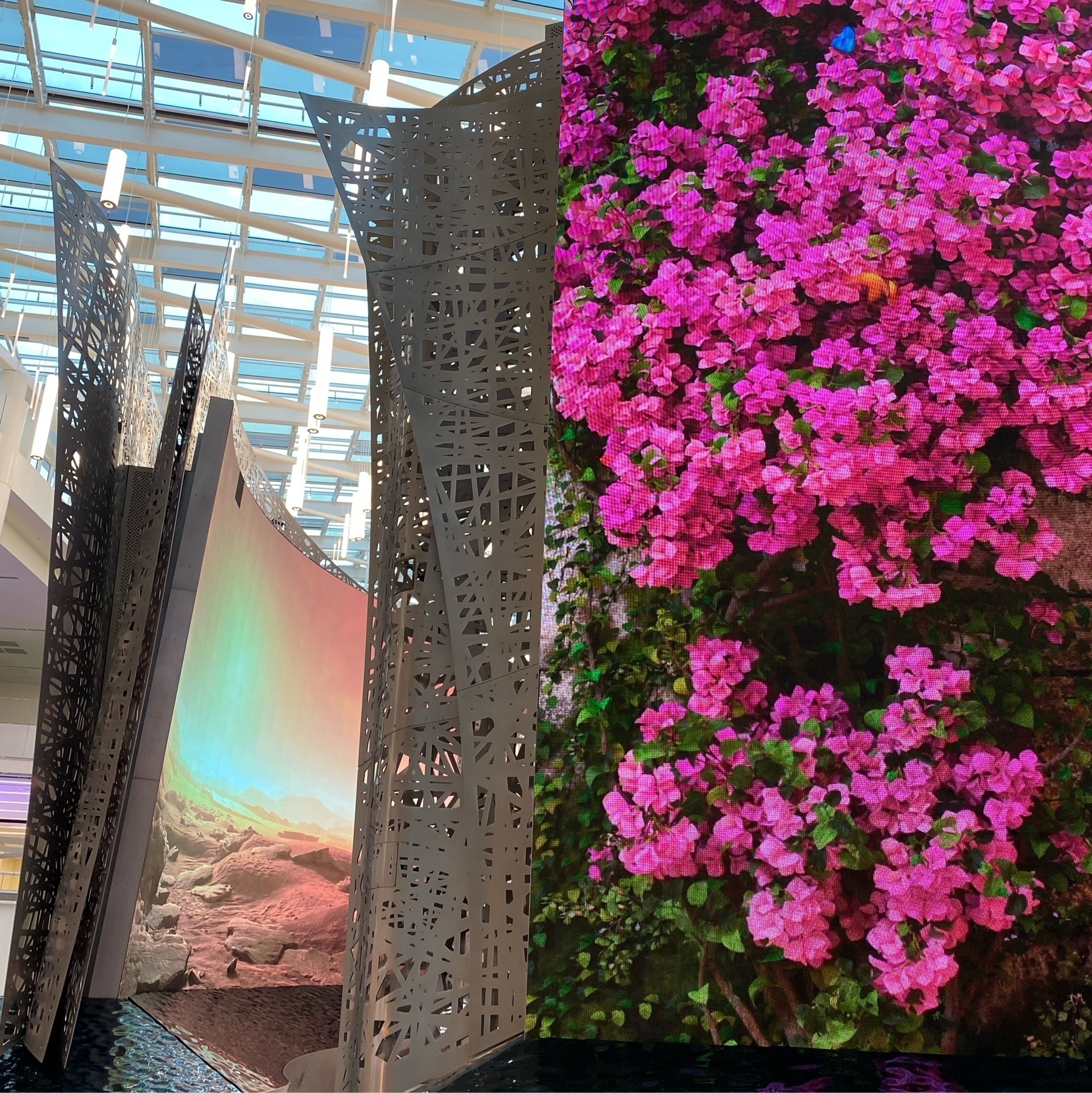 Video display screens showing a wall covered in flowers amd a sunrise desert.