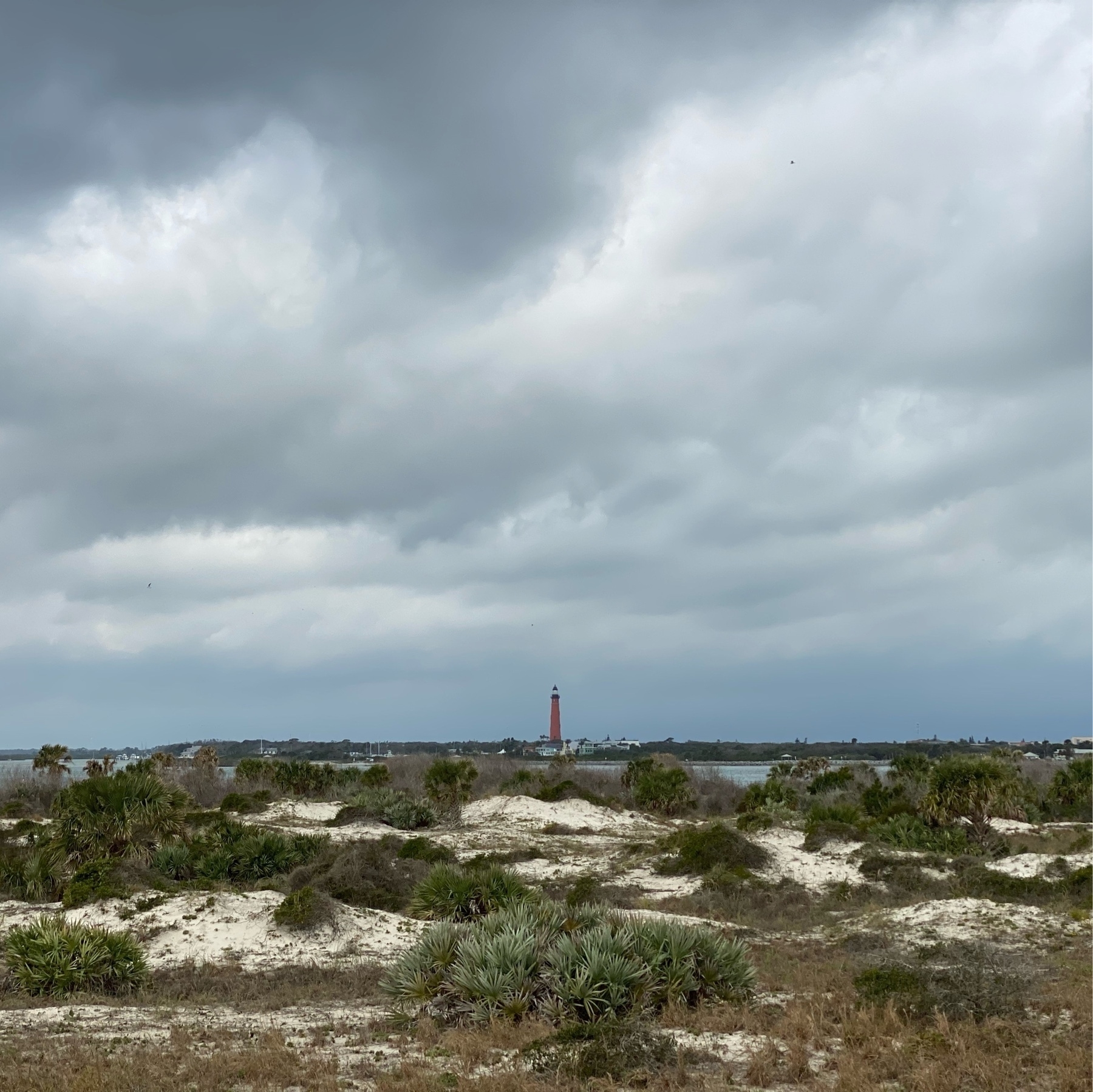 Scrub covered dunes under a cloudy sky with a red lighthouse in the distance.