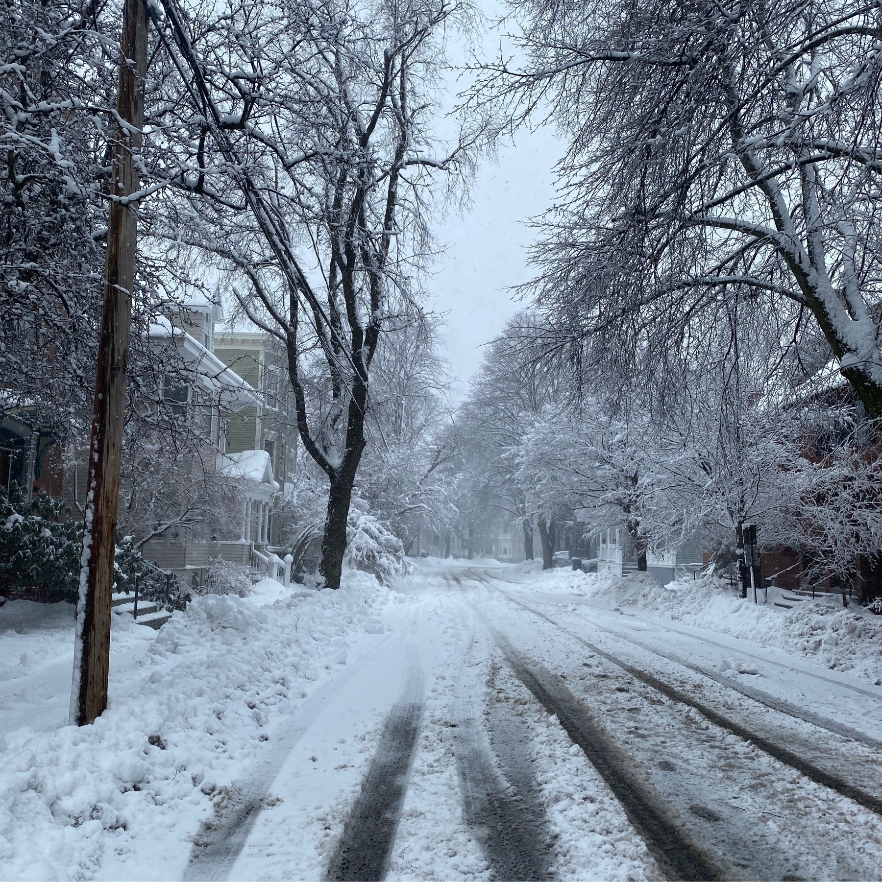Snow covered street with bare trees and utility poles coated in snow on either side.