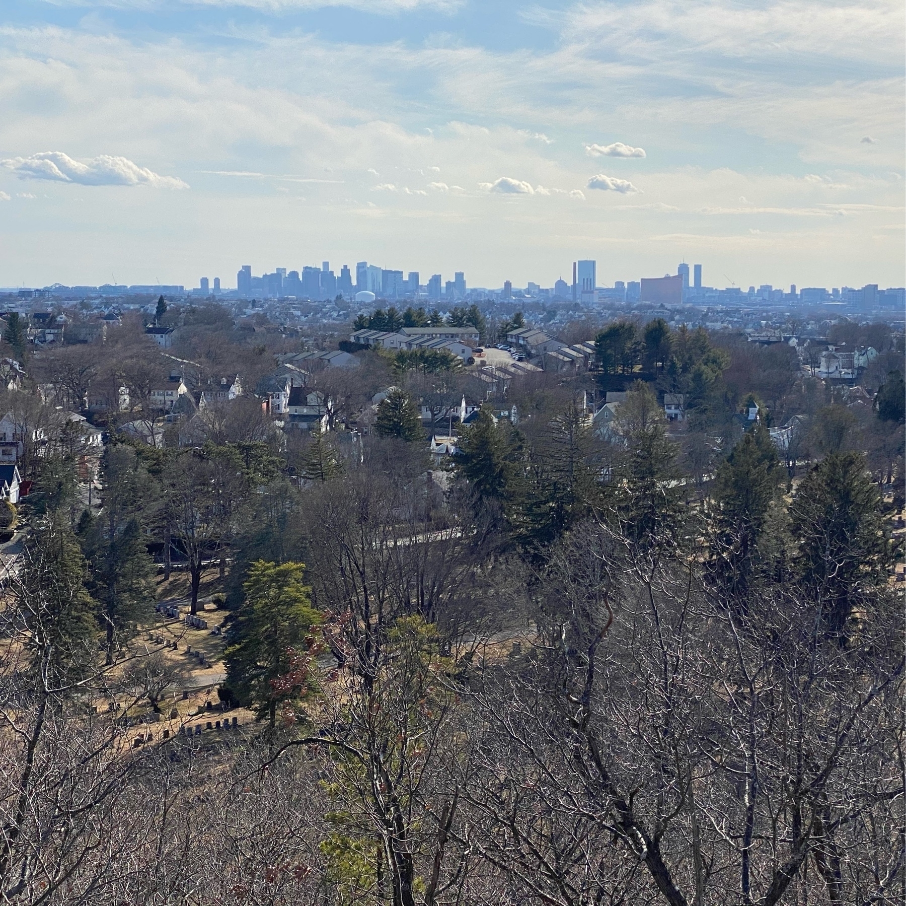 View from a hill over a tree covered suburb with the Boston skyline in the distance.