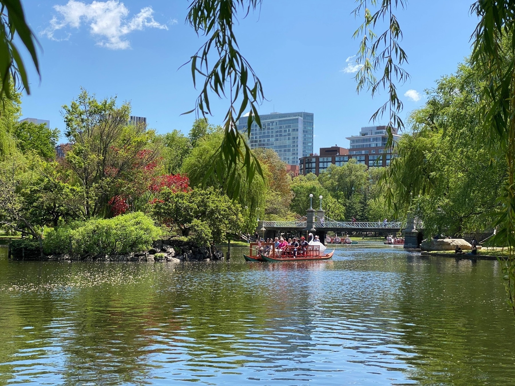 View of a swan boat on a pond in a city park, with blue sky above and green trees all around.