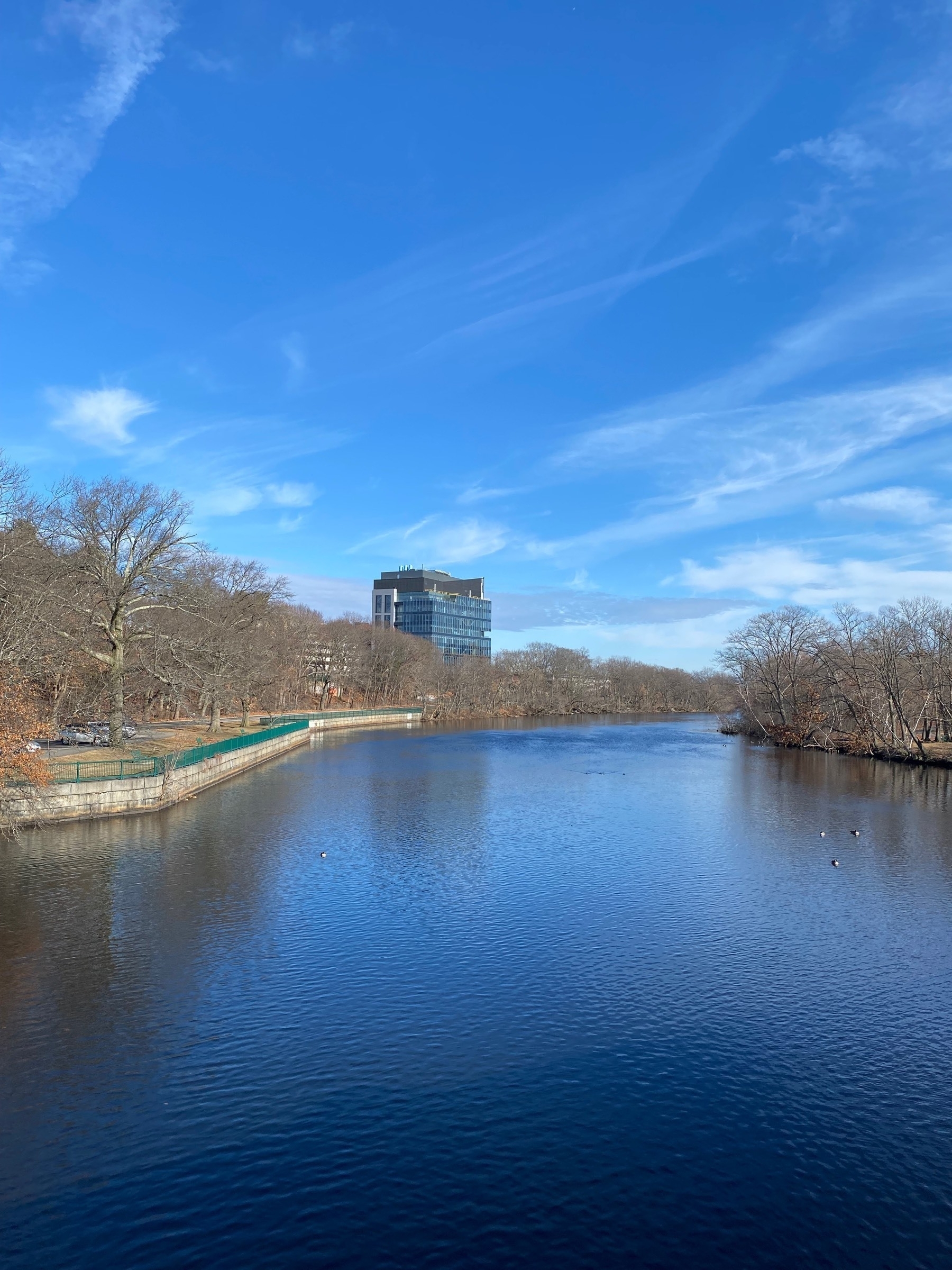 View of a tree lined river from a bridge, with the blue sky above and a glass windowed building on the far bank.