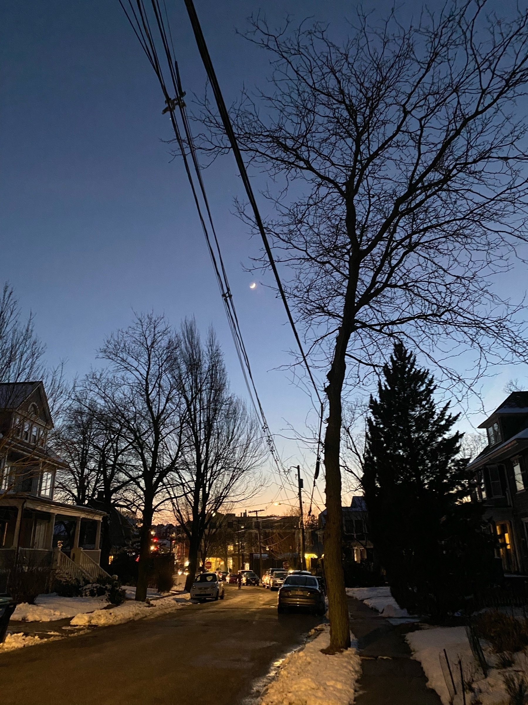 View of a street in the evening, with a small sliver of moon visible behind the bare trees and power lines.