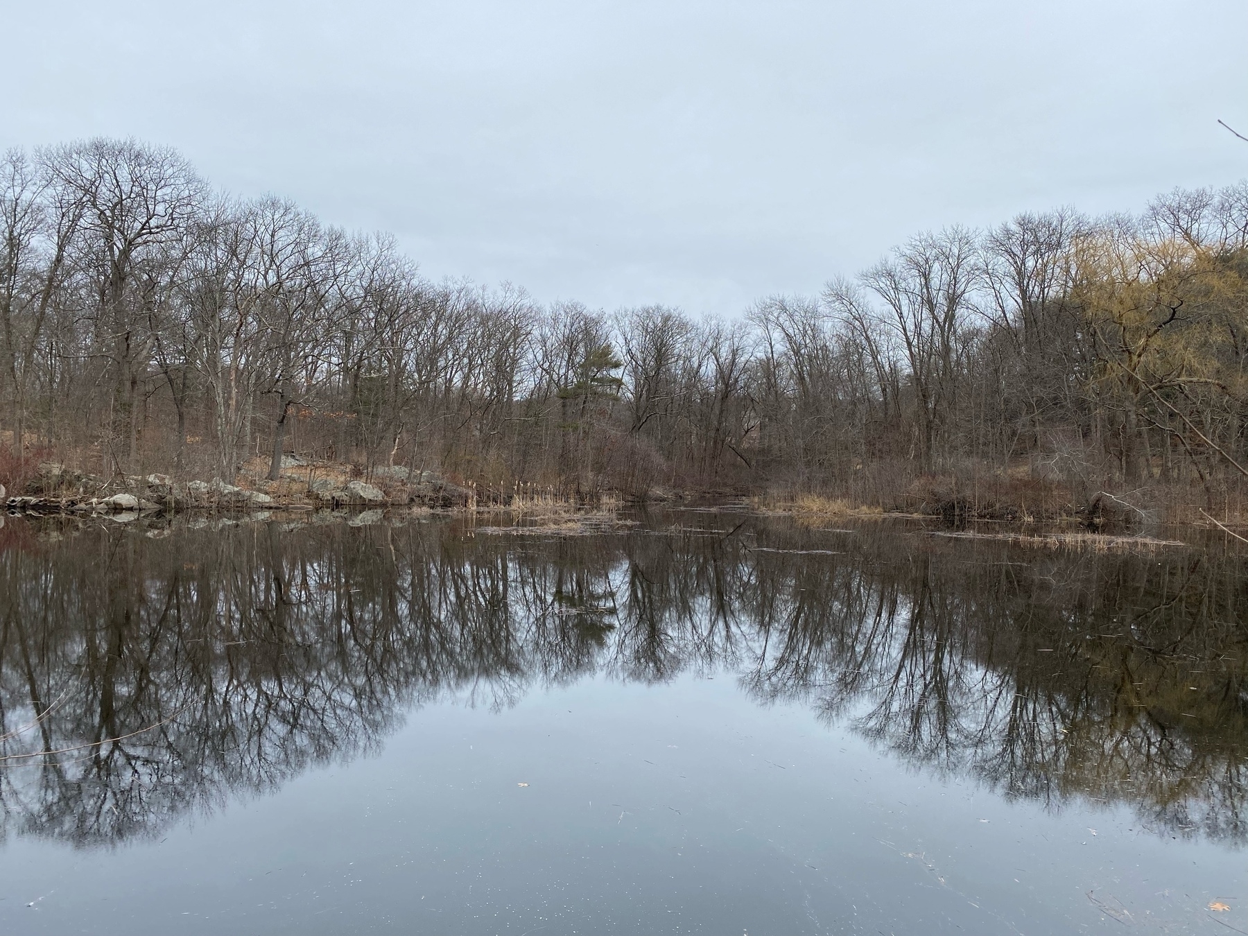 View of a still pond with two hills on the far shore covered in bare trees, reflected in the waters below.