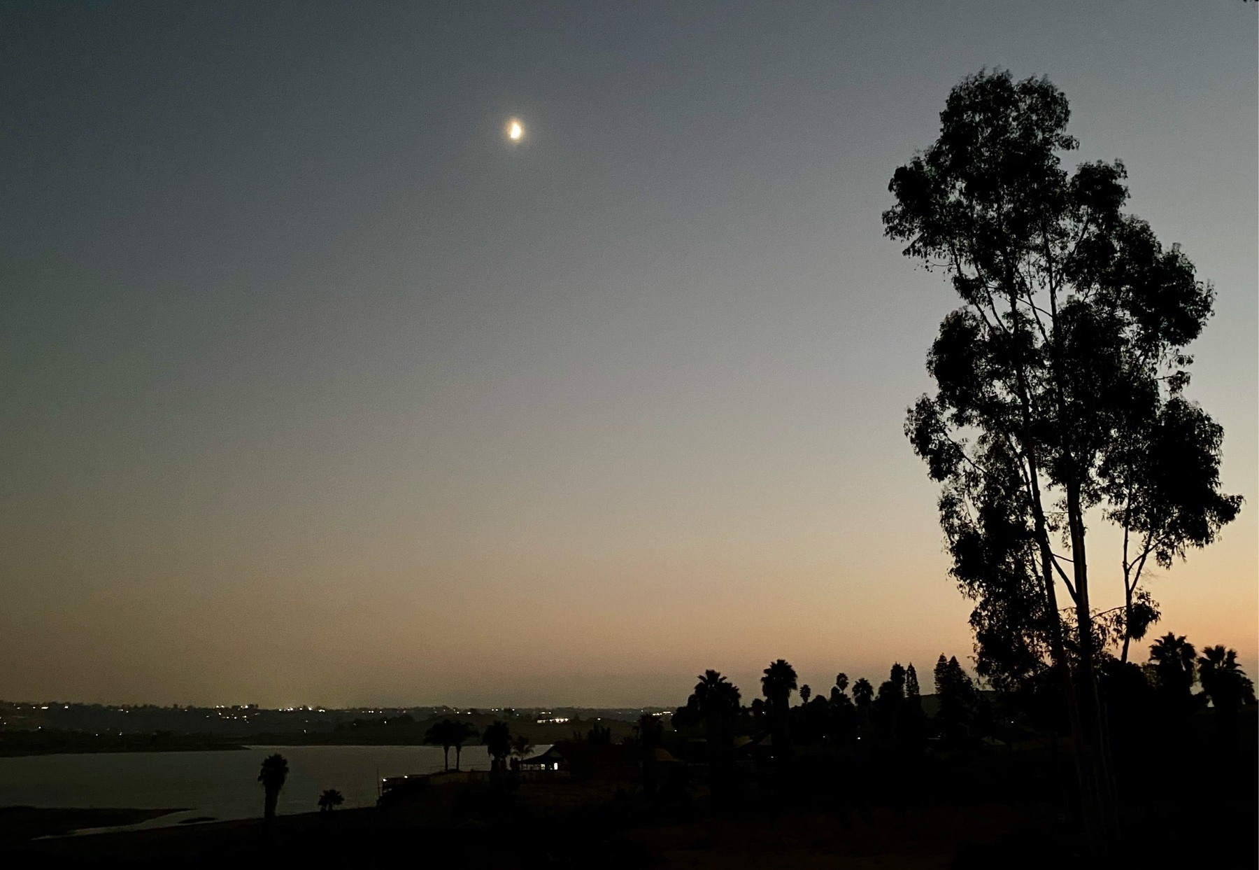 View on the sky just after sunset, pale blue above and faded orange below, with two tall trees silhouetted on the right and the crescent moon at top center. 